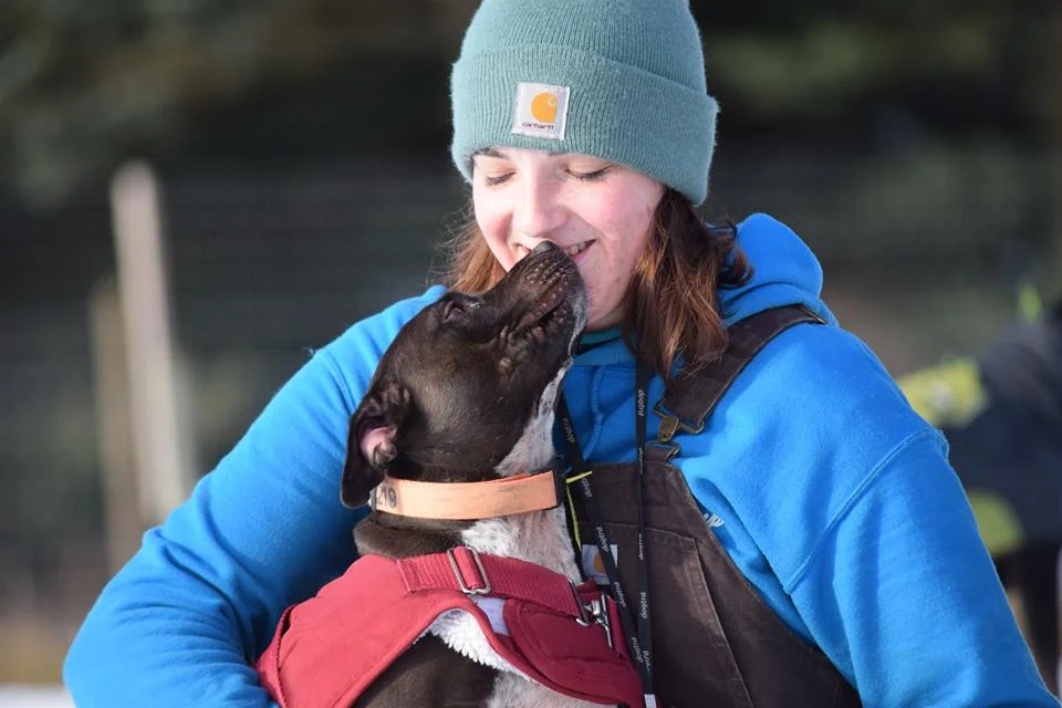 dog gkiss.jpg