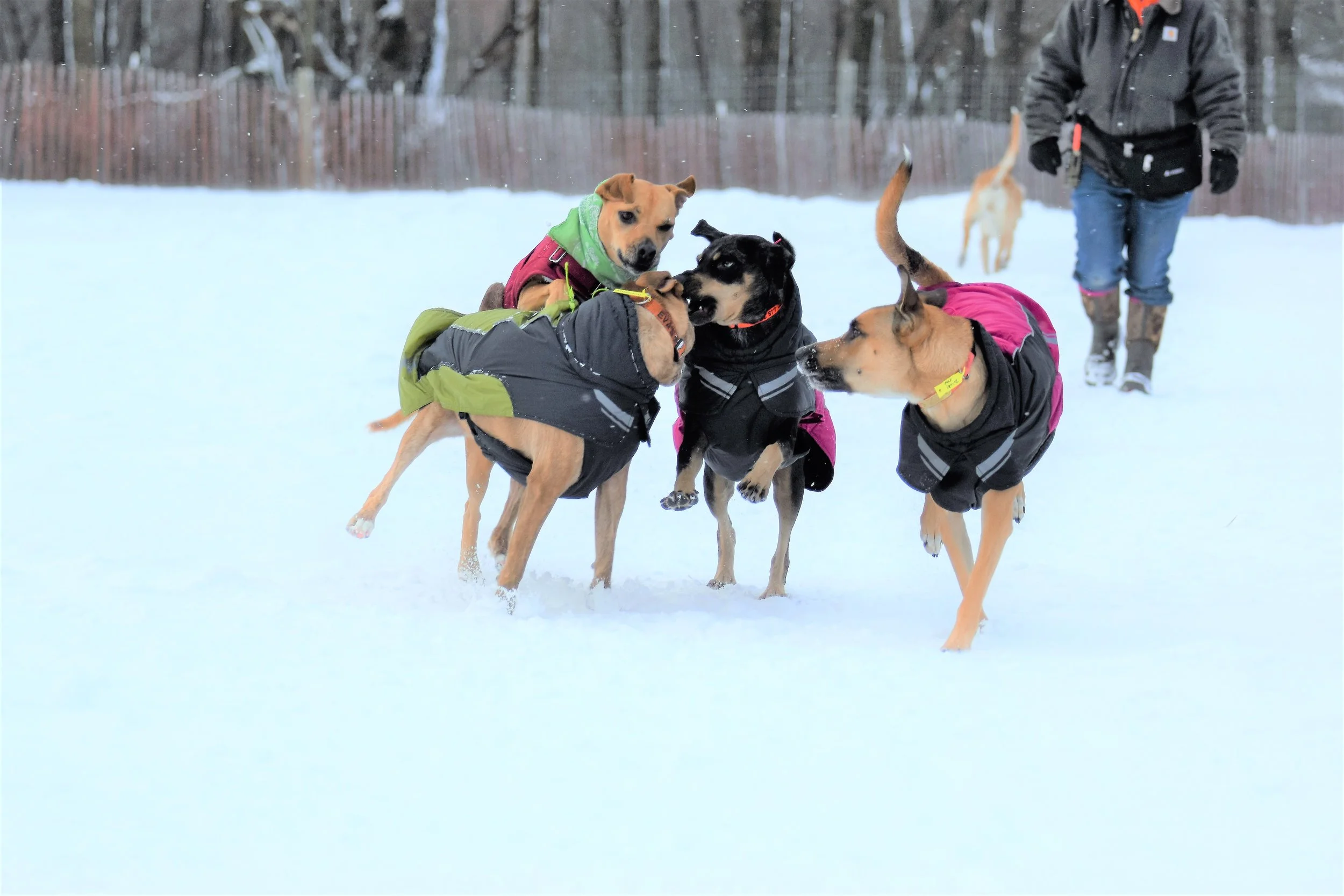 Gearing Up for Winter Exploring