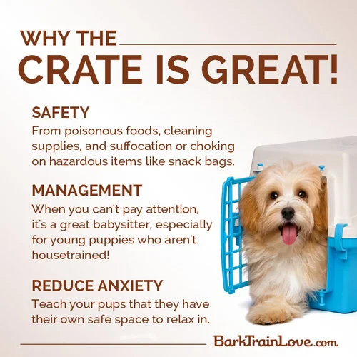 CrateIsGreat_Meme.jpg