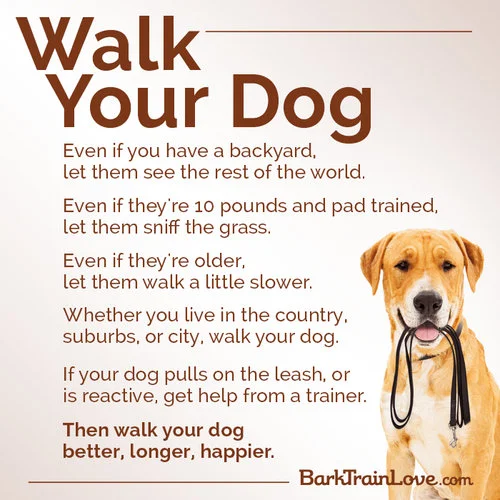 WalkYourDog_meme_Final_v1.jpg