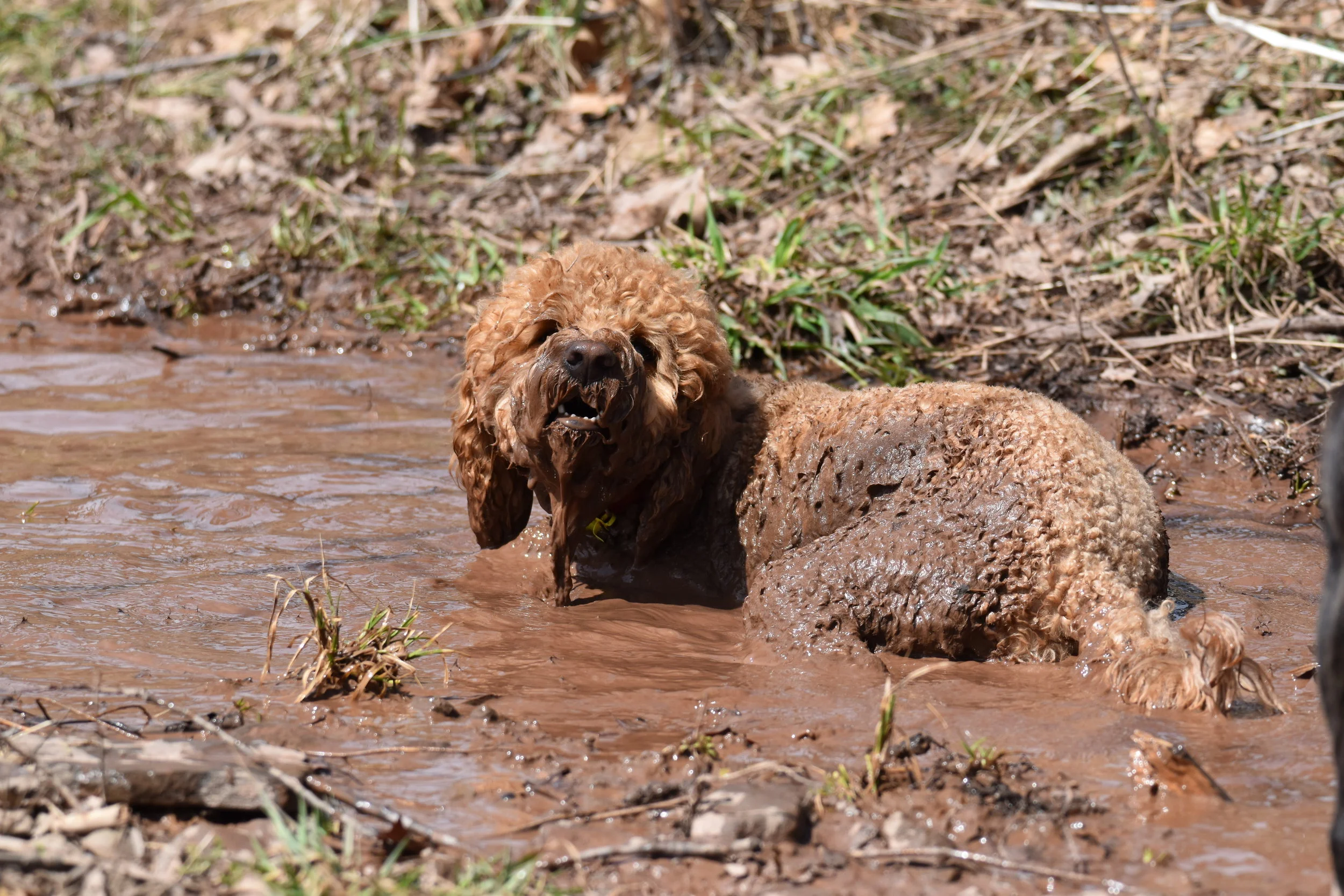 Mud Season is Here!