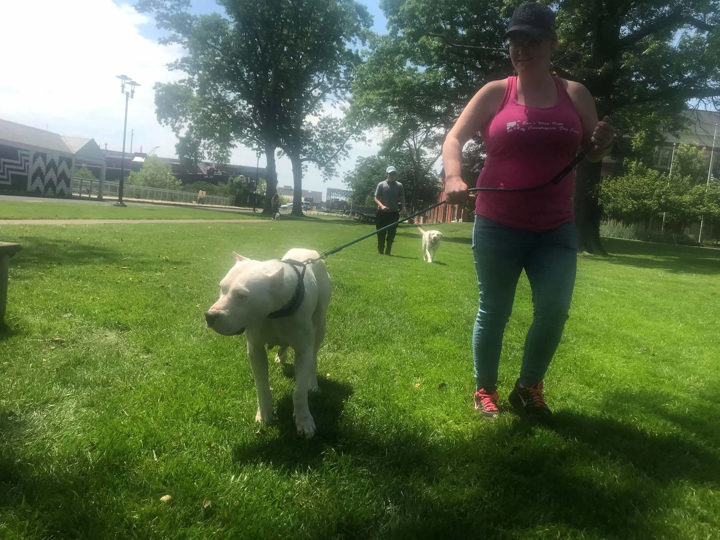 Fearful Dog Seminar