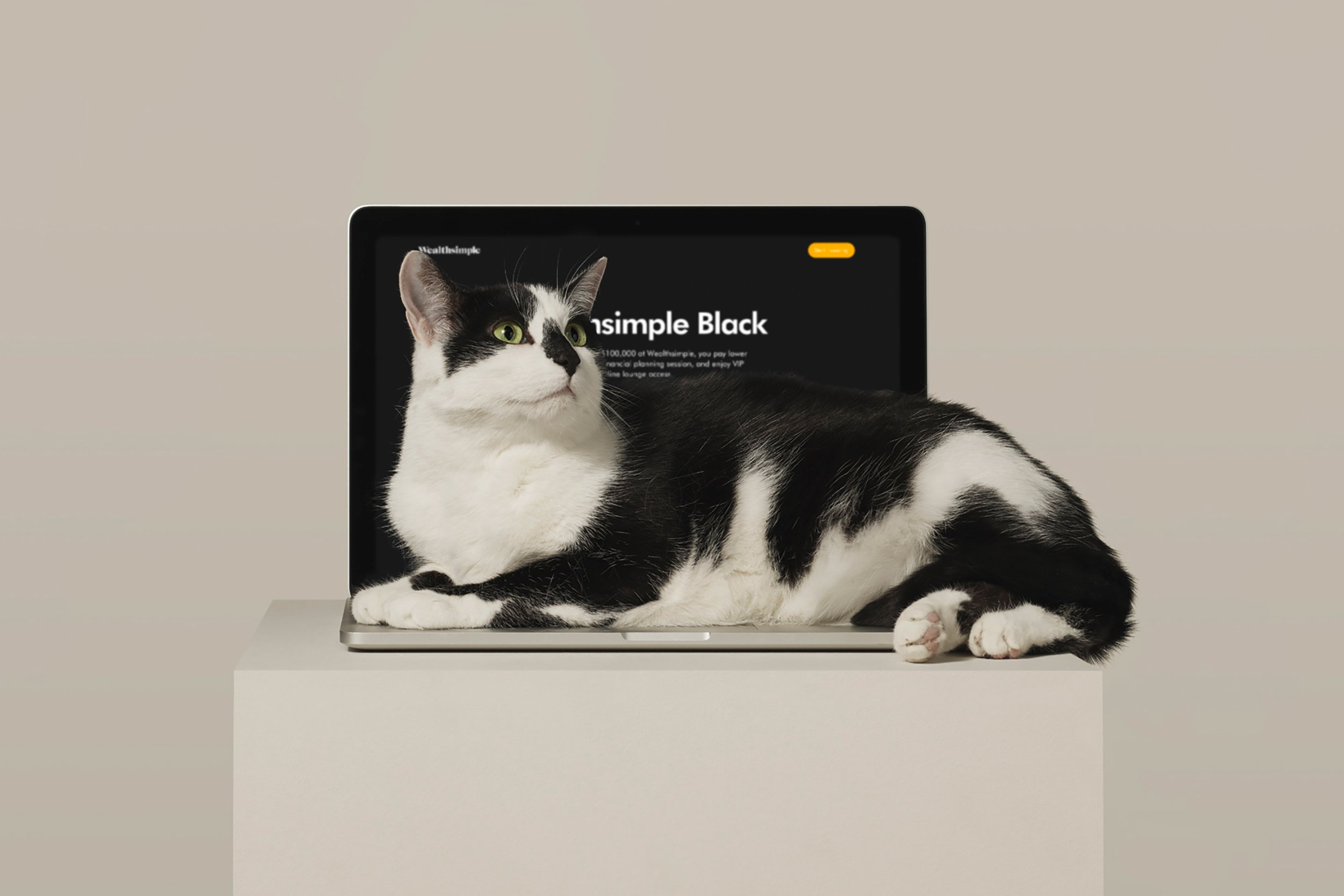 2017_06_08_WEALTHSIMPLE_DR_CAT_099-1.jpg