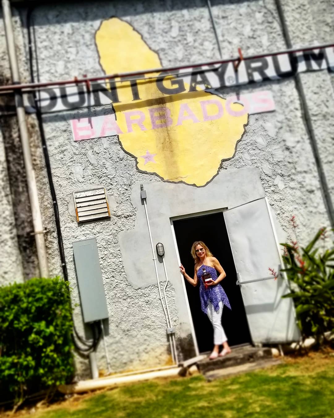 On Barbados at the world's oldest rum distillery.