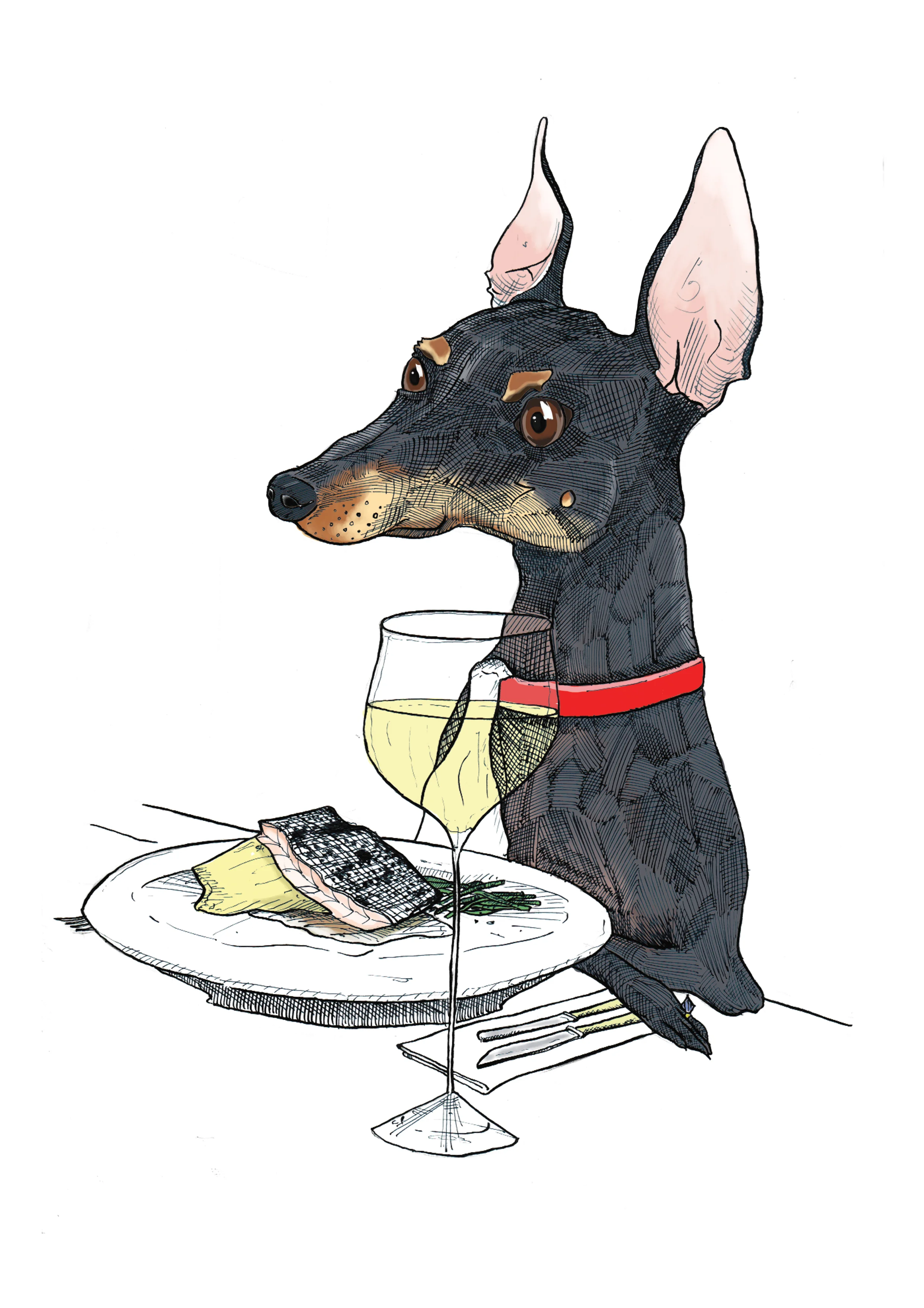 English Toy Terrier