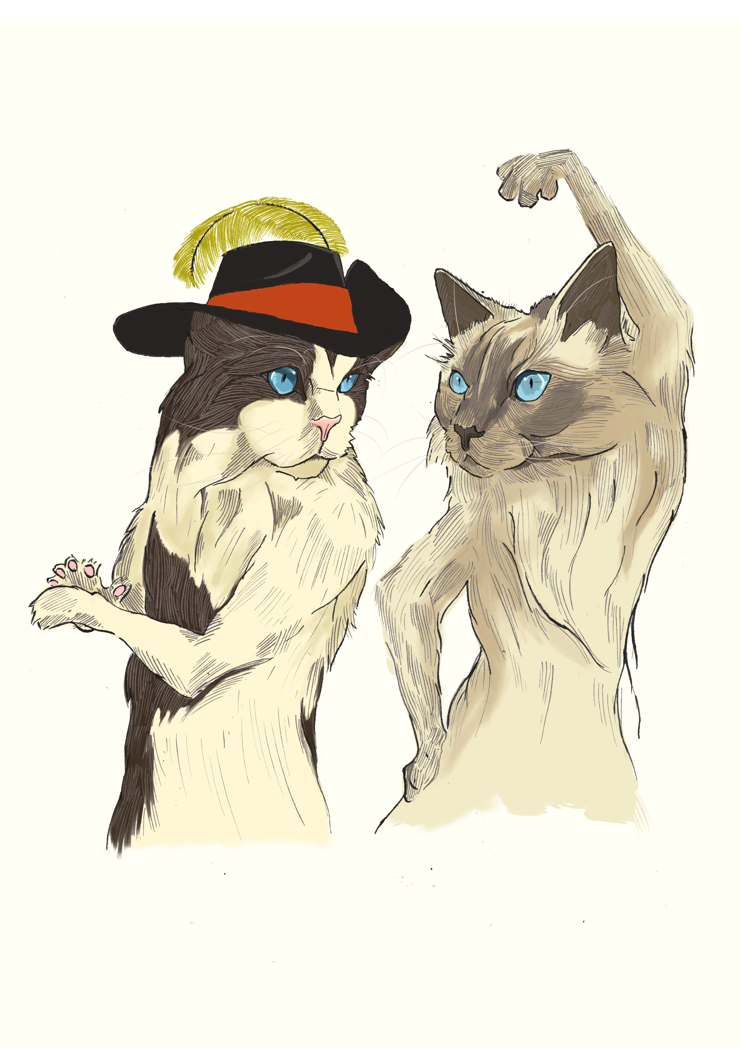Cat noname A4 RGB.jpg