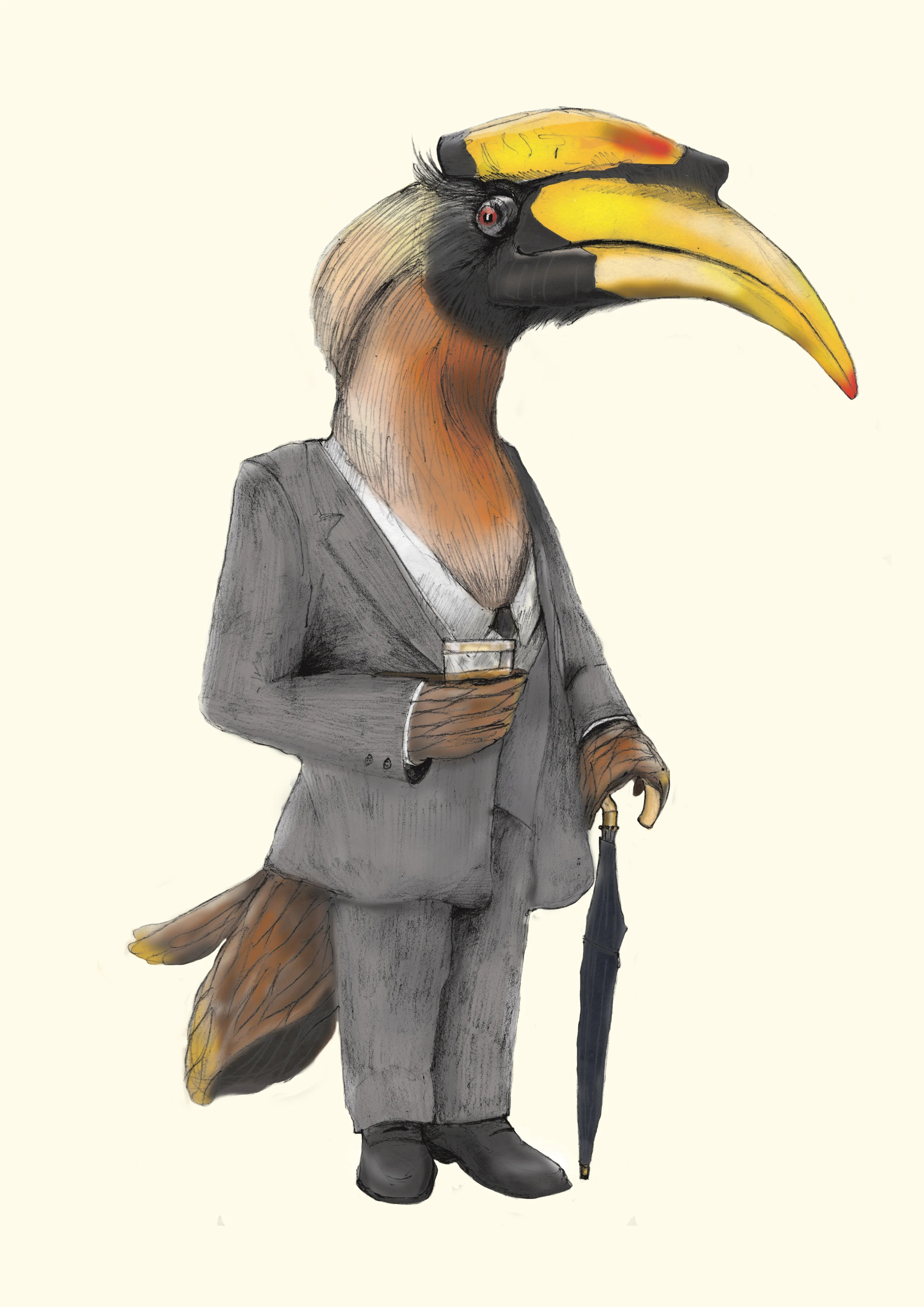 Hornbill.jpg