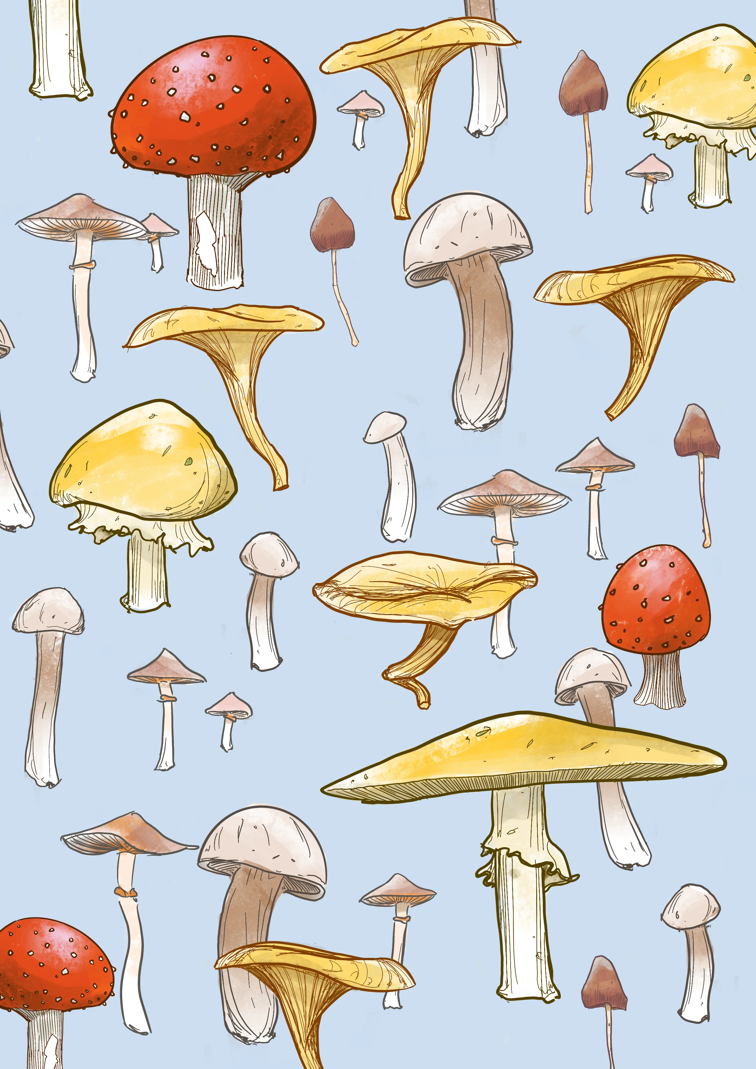 Composite Mushroom.jpg