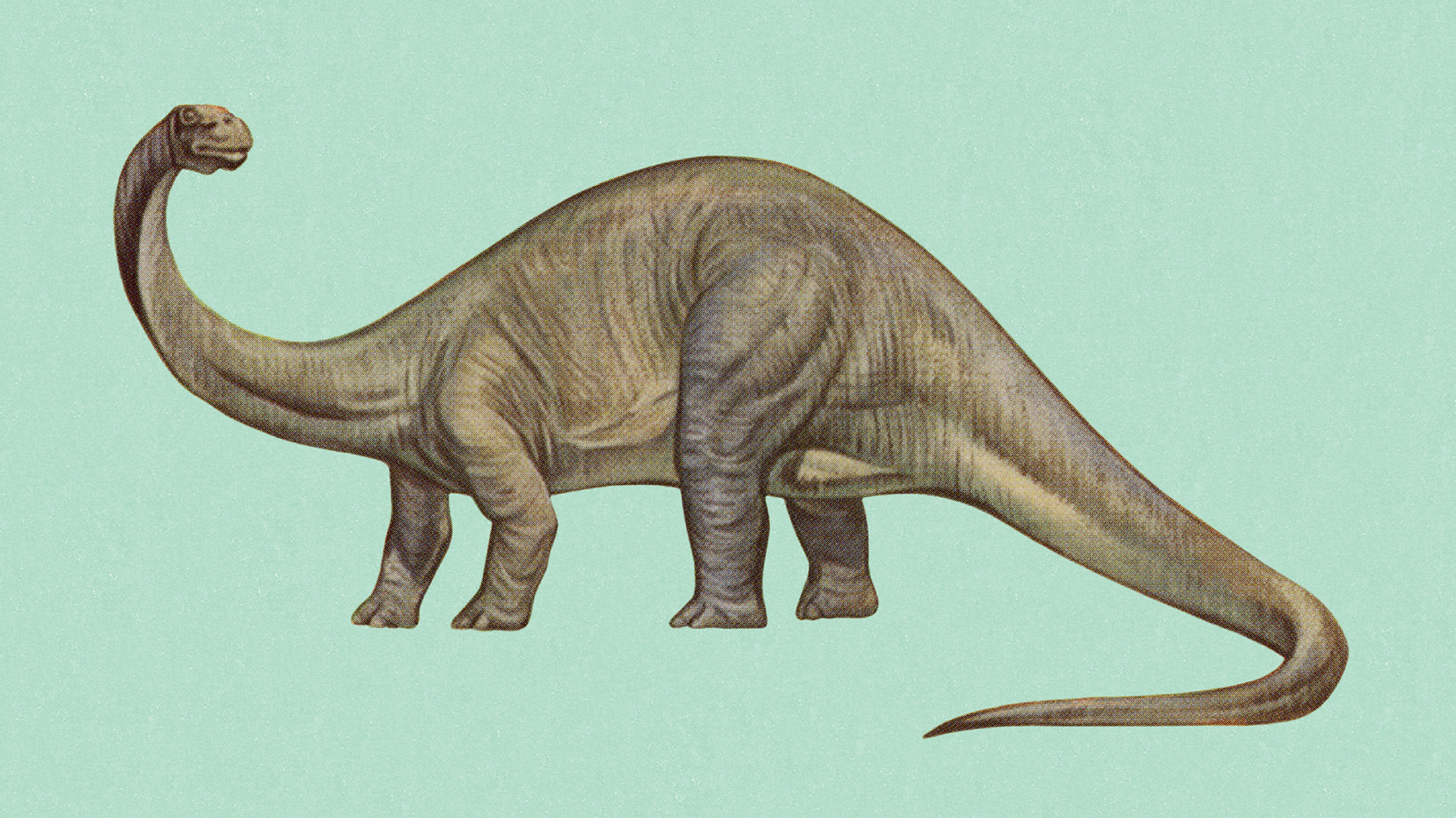 Dinosaurs existed.