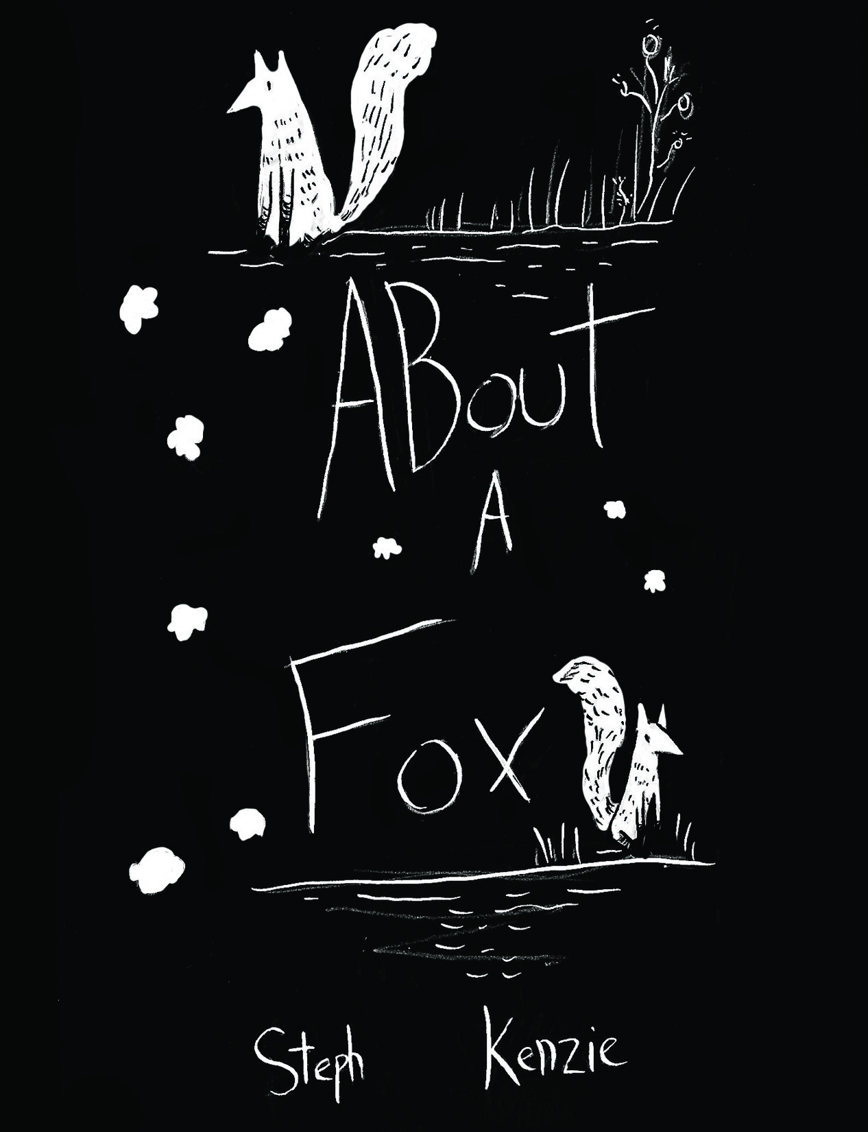 fox cover.jpg
