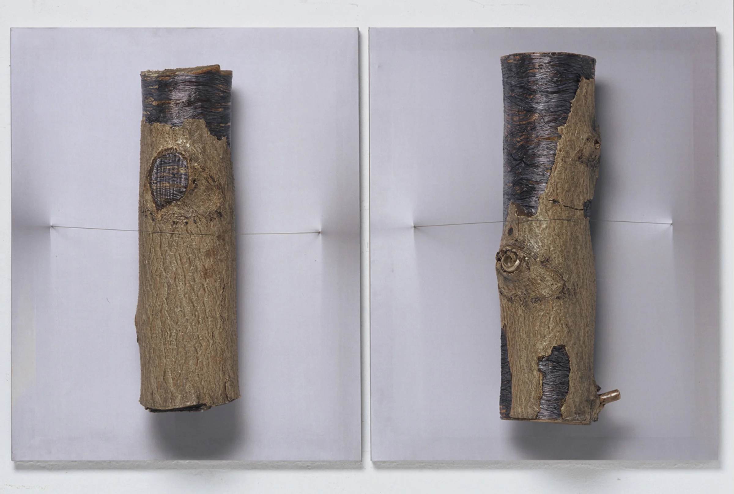  An Introvert III , 2003,&nbsp;Glue, Rayon Coiled Wood, Wire on Silk,&nbsp;29.5 x 23.6 x 6 inches(75 x 60 x 15 cm) each 