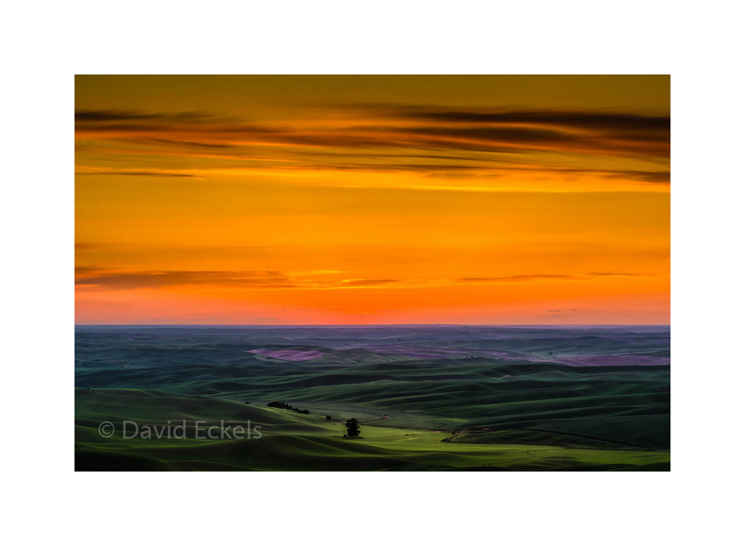 Palouse Sunset © David Eckels
