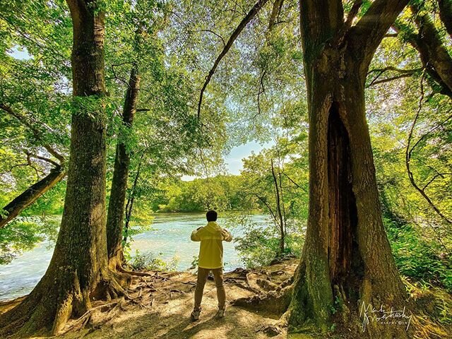 Merely steps away from a busy nature trail, he held a tai chi-like stance for over 30 minutes. Rooted in his moment, he reminded me of the reverence nature deserves.