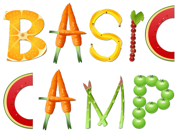 Basic Camp SOLD OUT