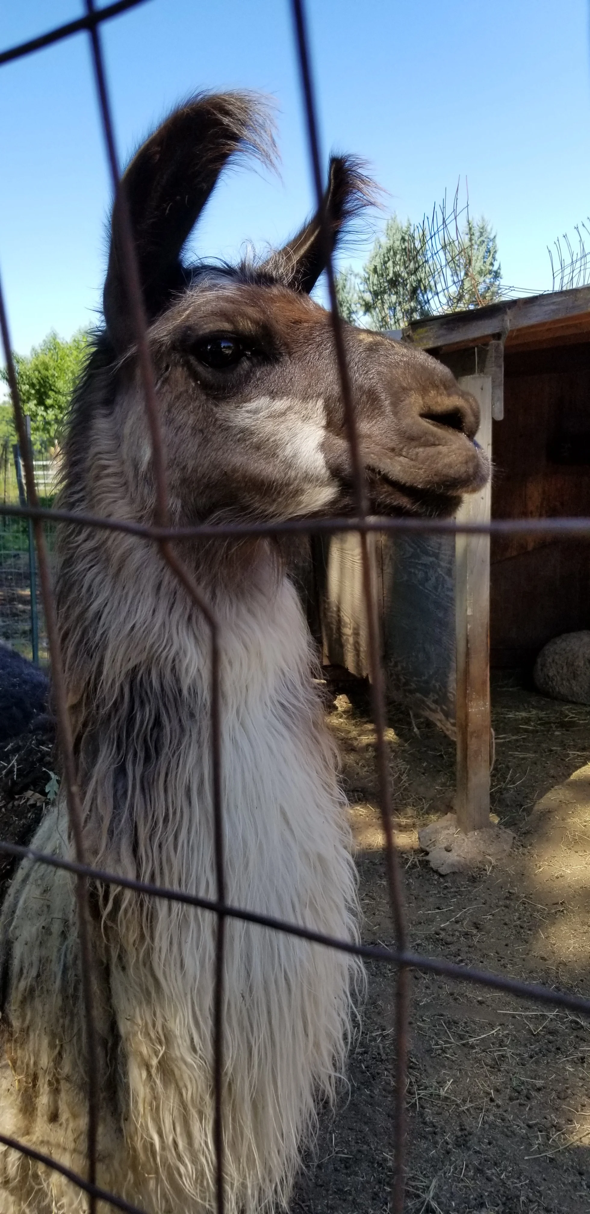 20180725_105828.jpg