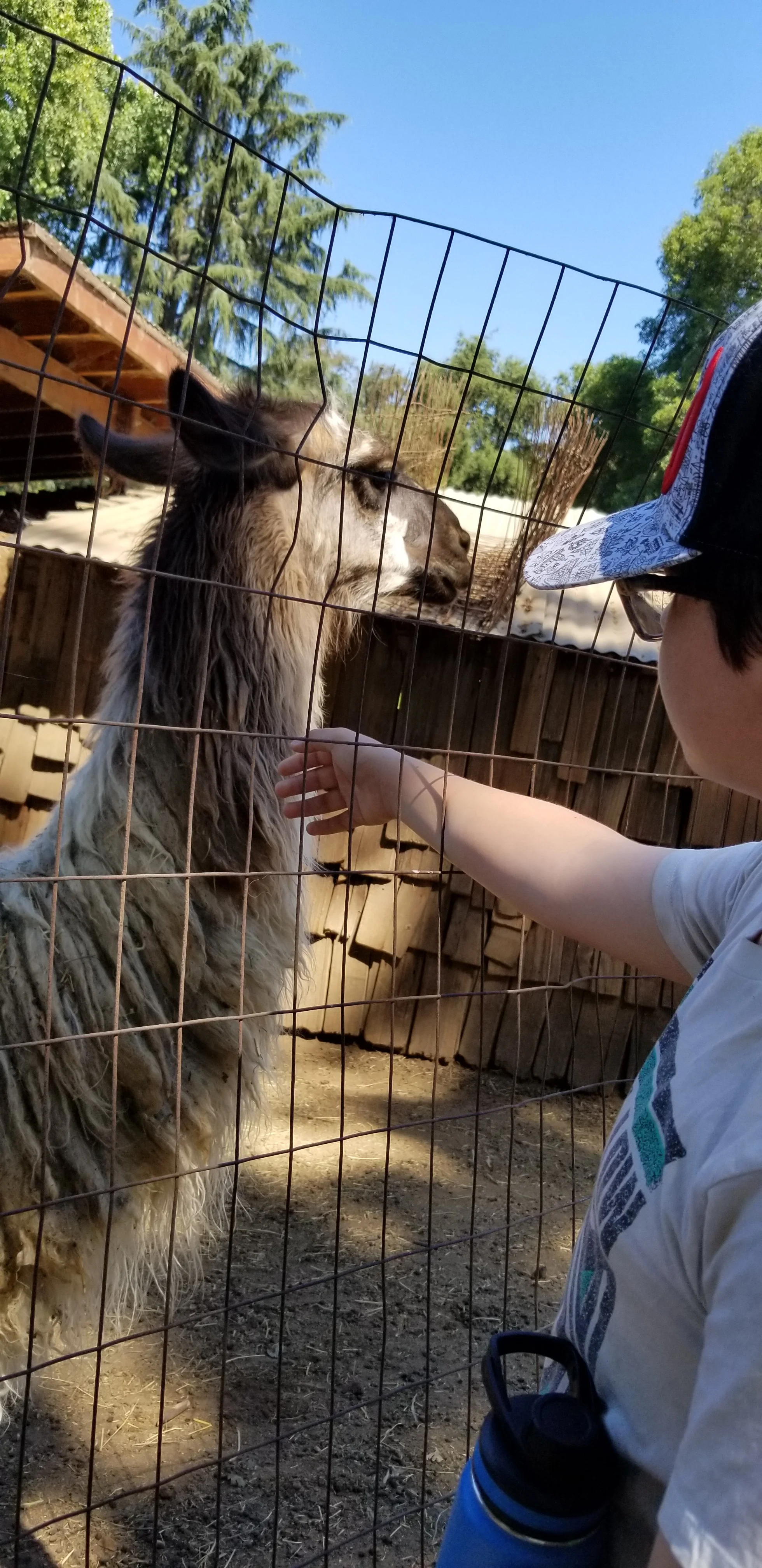 20180725_110003.jpg