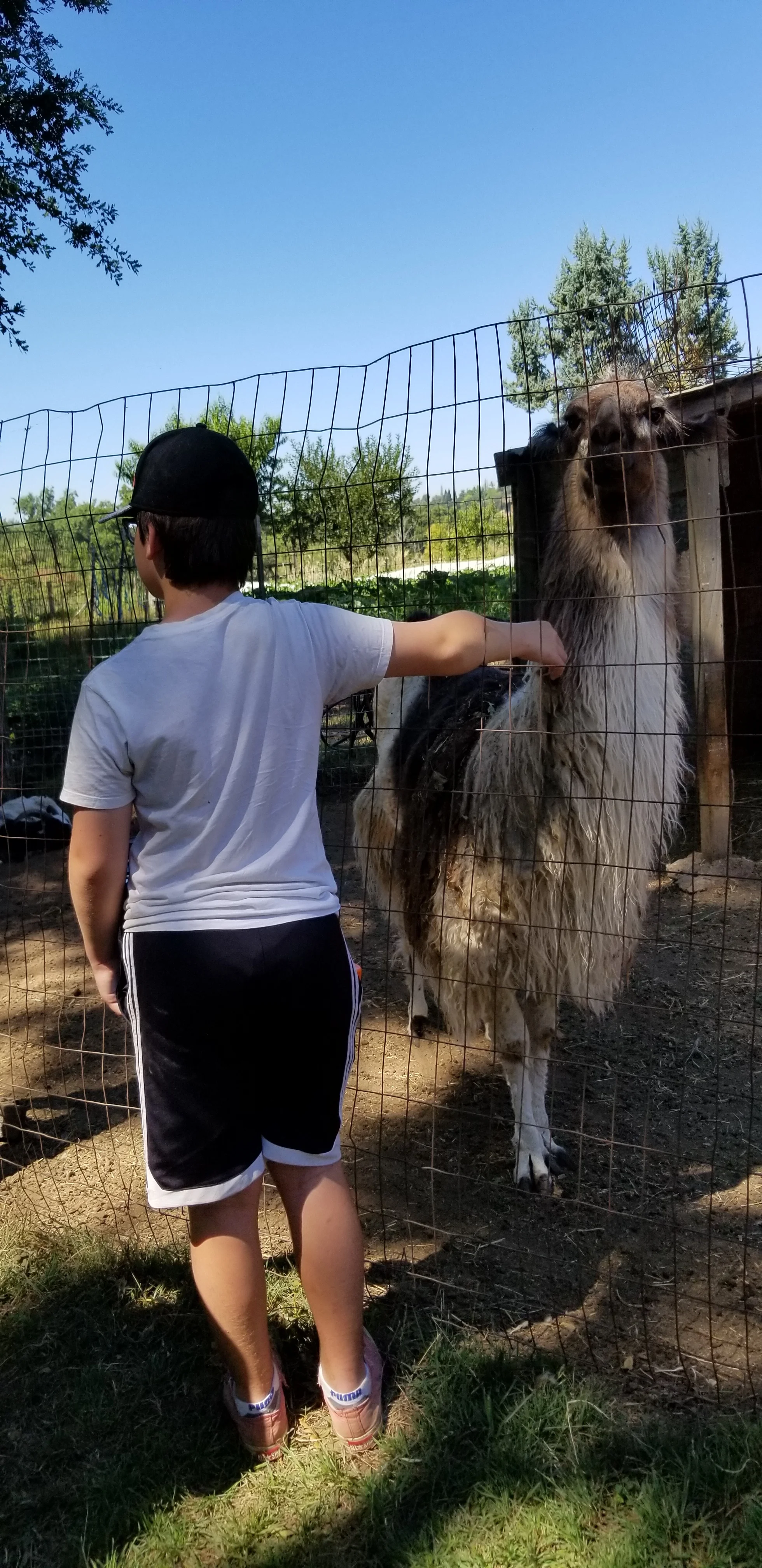 20180725_110013.jpg