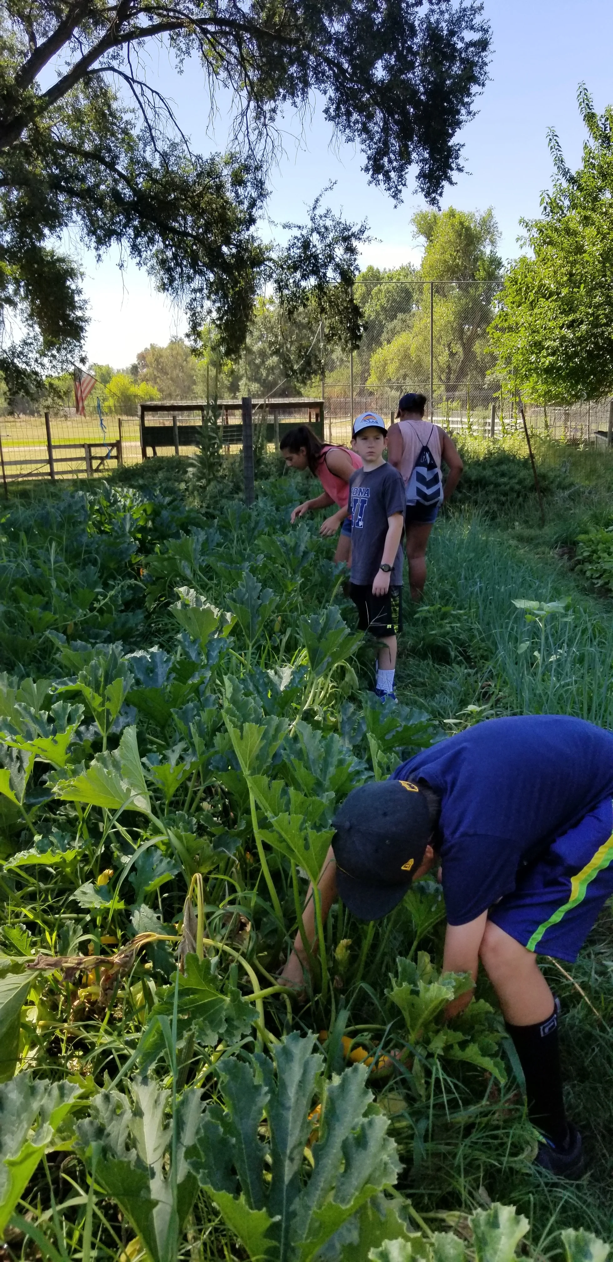 20180725_104815.jpg