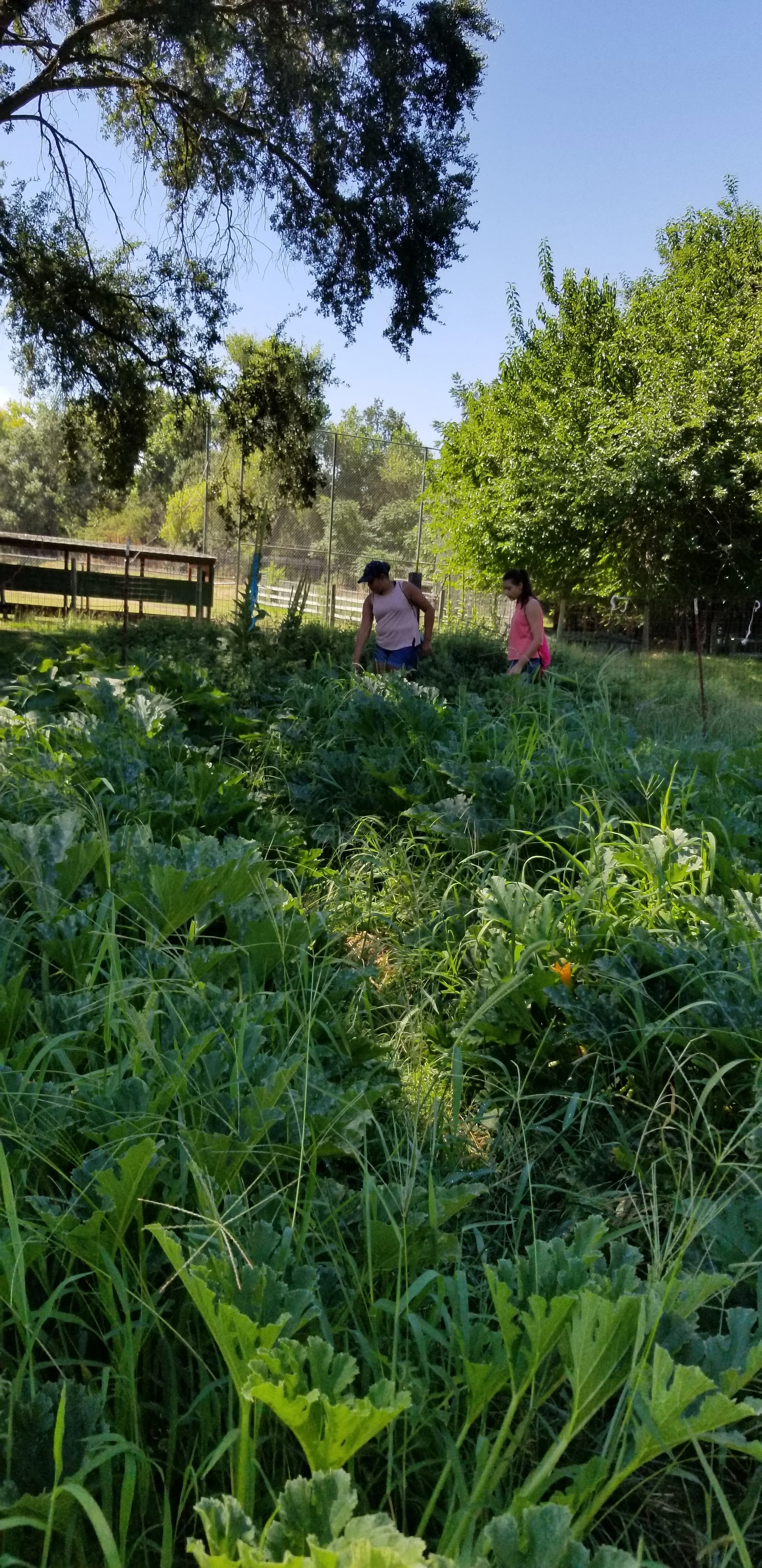 20180725_104838.jpg
