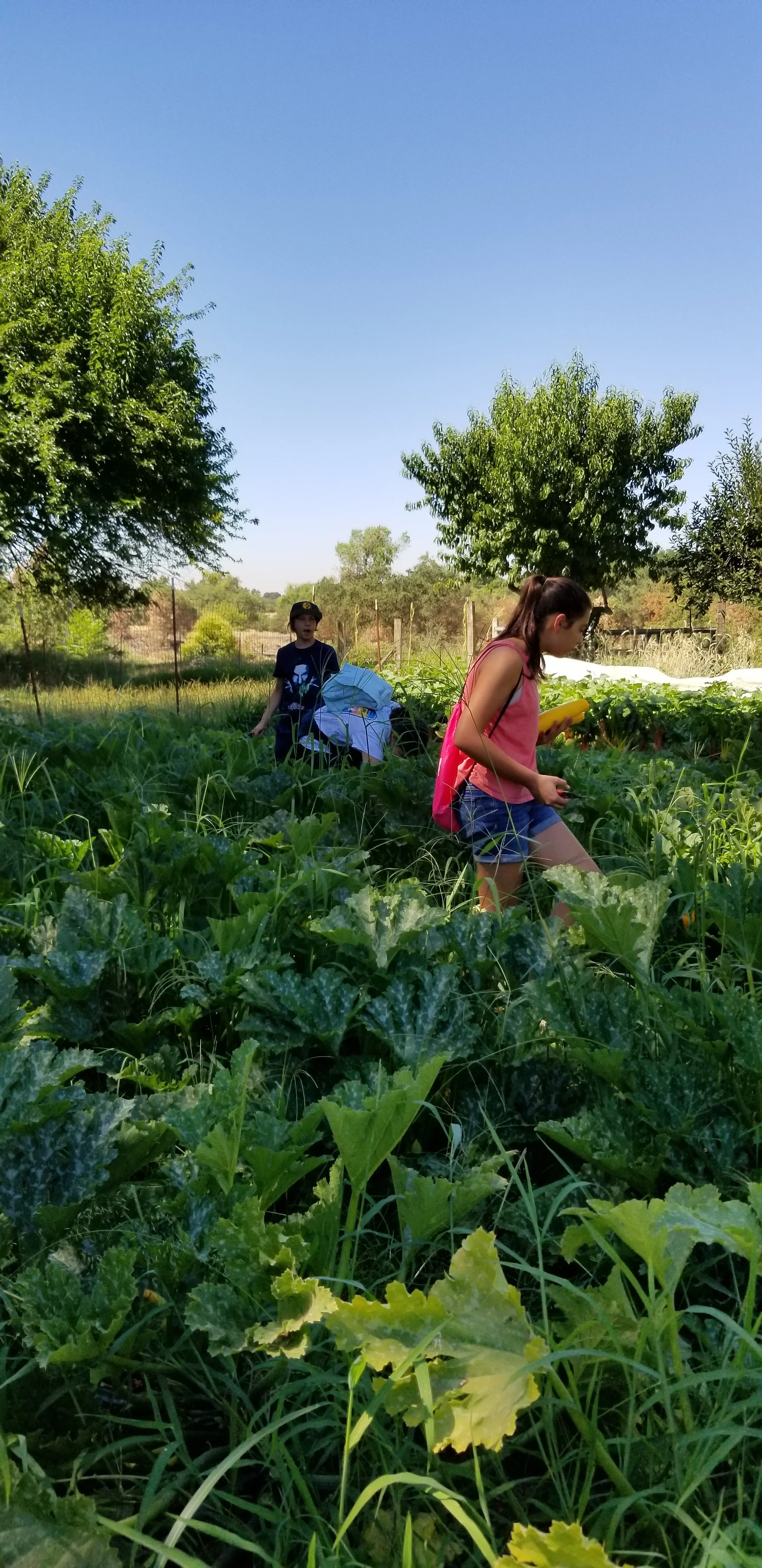 20180725_105010.jpg