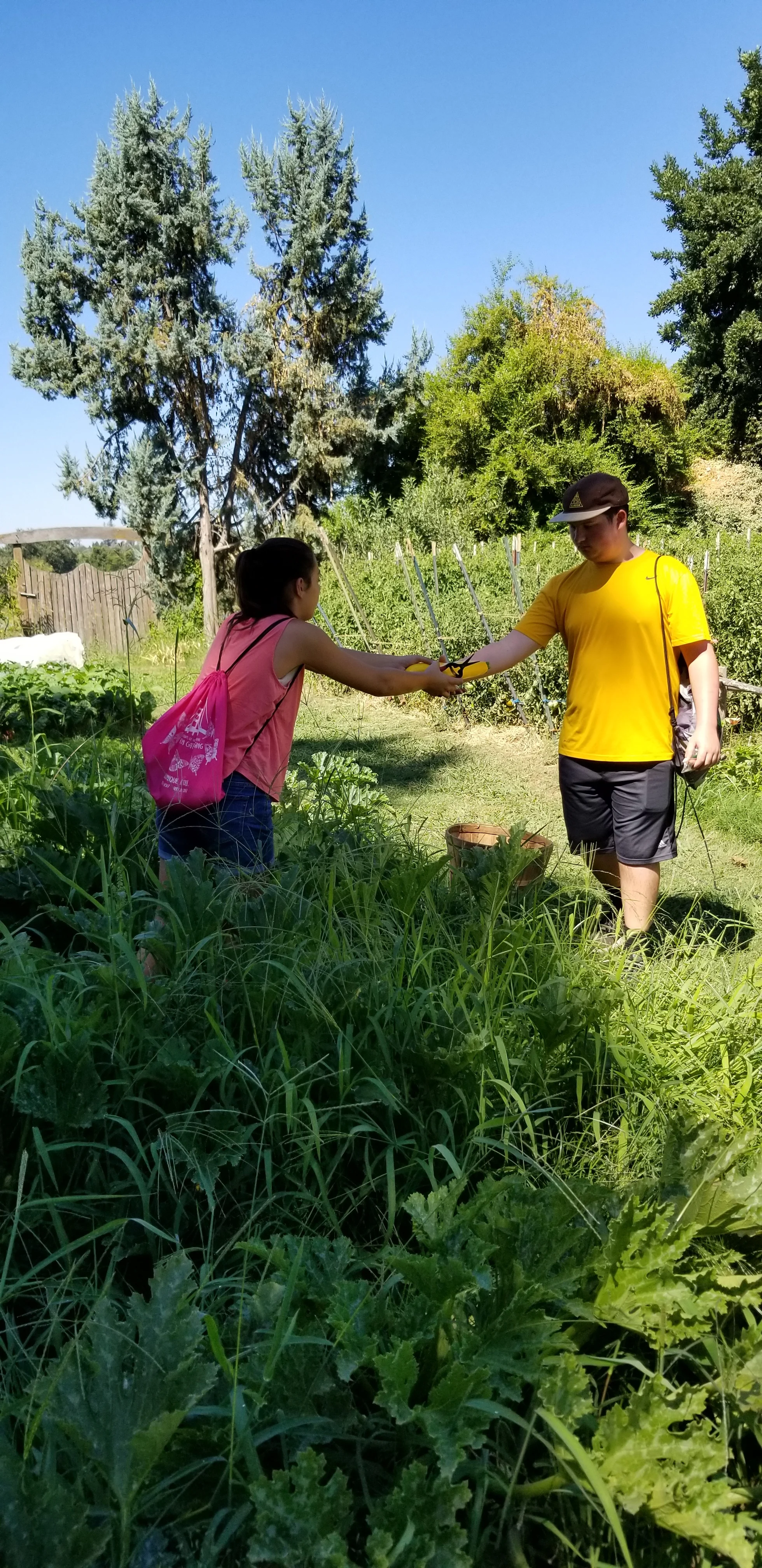 20180725_105020.jpg