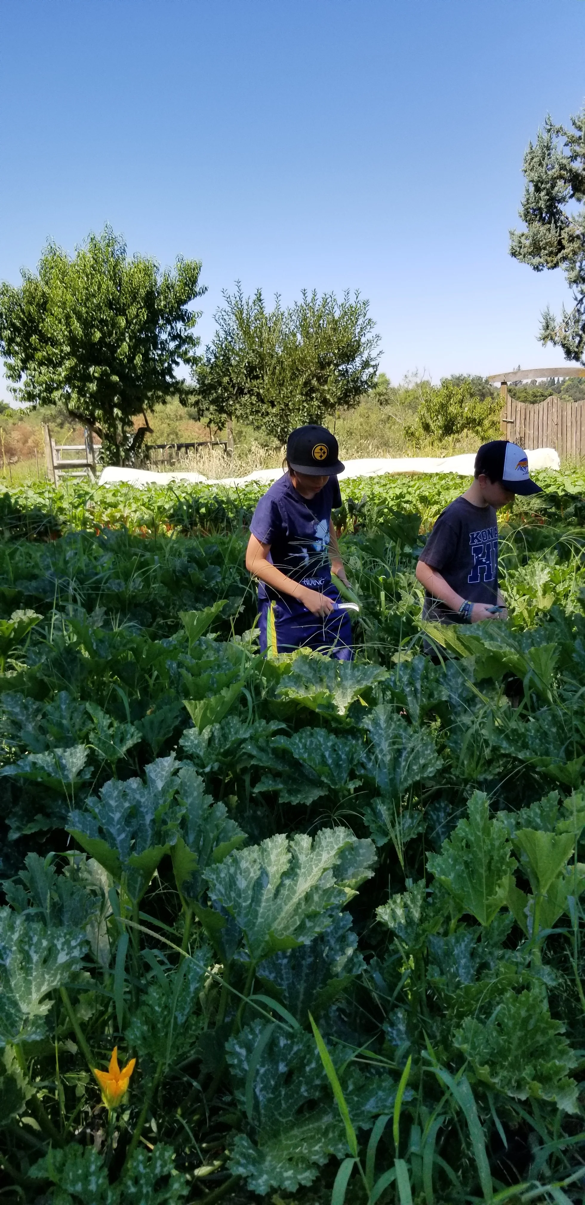 20180725_105234.jpg