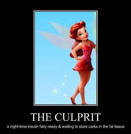 Low carb-løgne - og et par brugbare sandheder