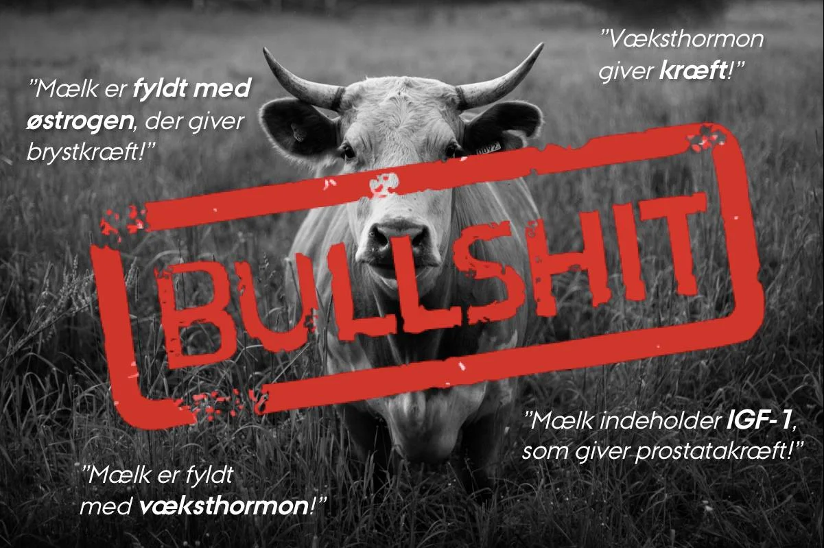 Sandheden om hormoner i mælk