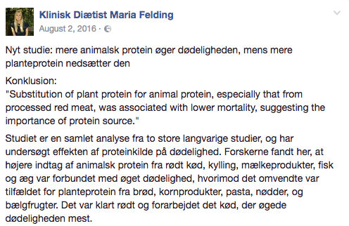 Maria Feldings fremlæggelse af studiet. 
