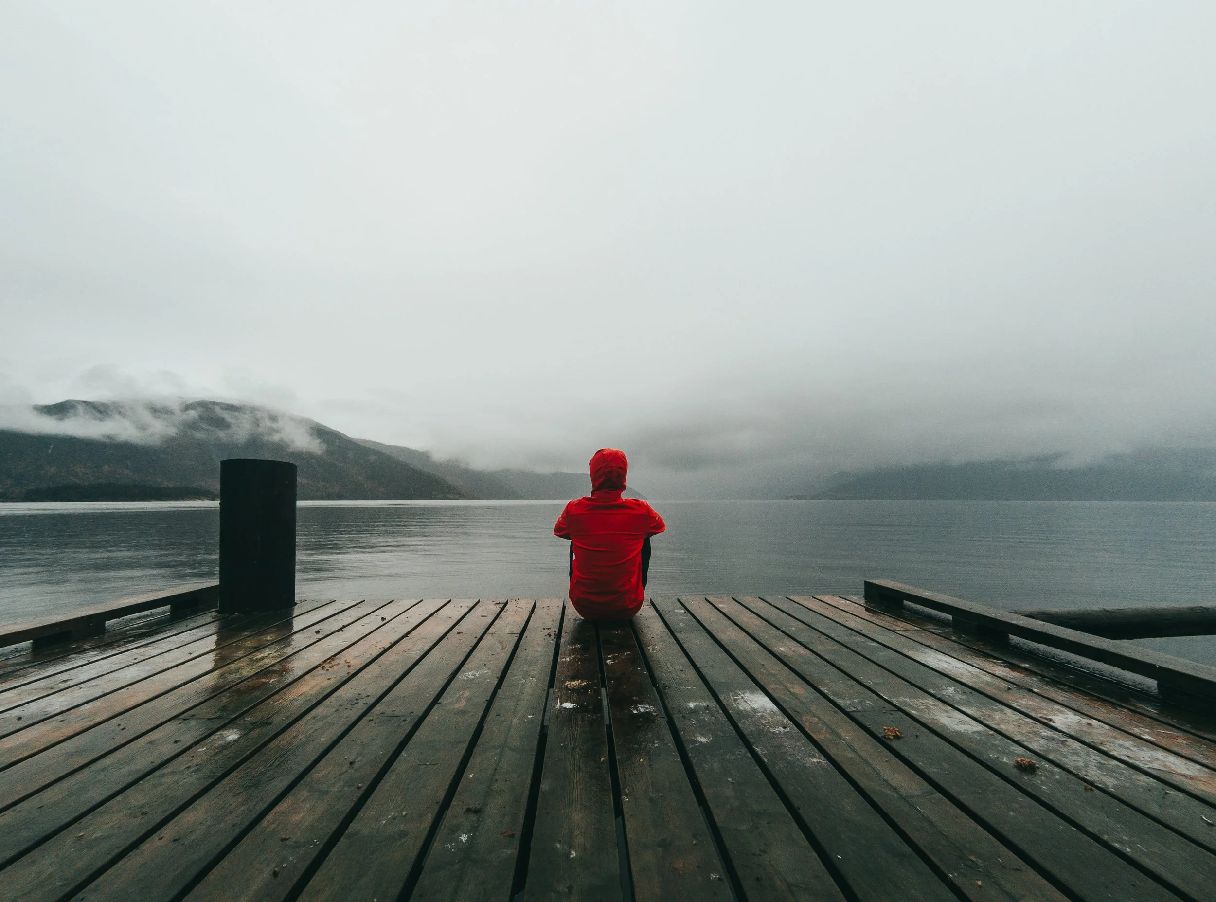 Billede af Fabrizio Verrecchia fra Unsplash