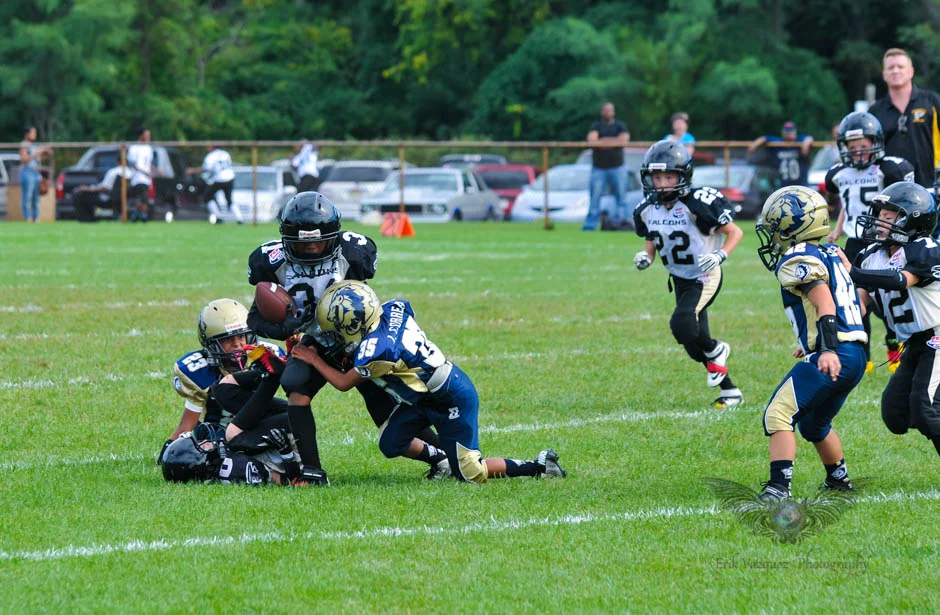 DSC_3137.jpg