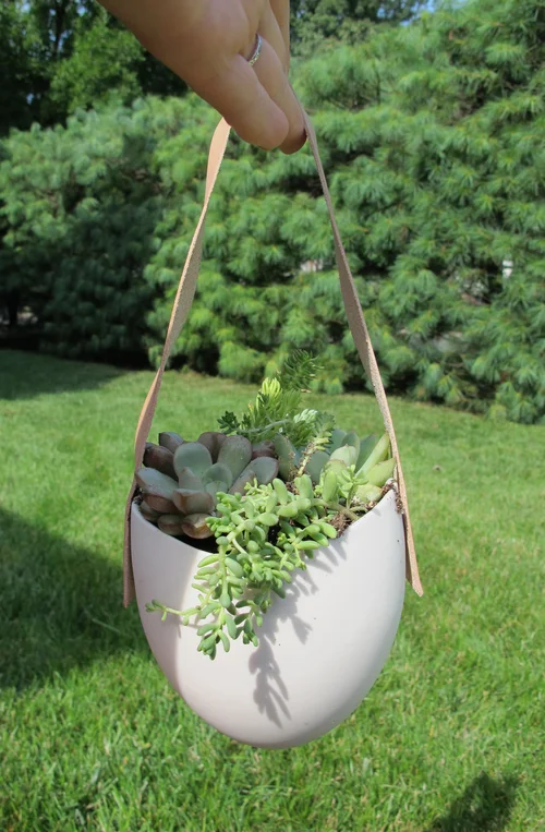 hanging+egg+planter.jpg