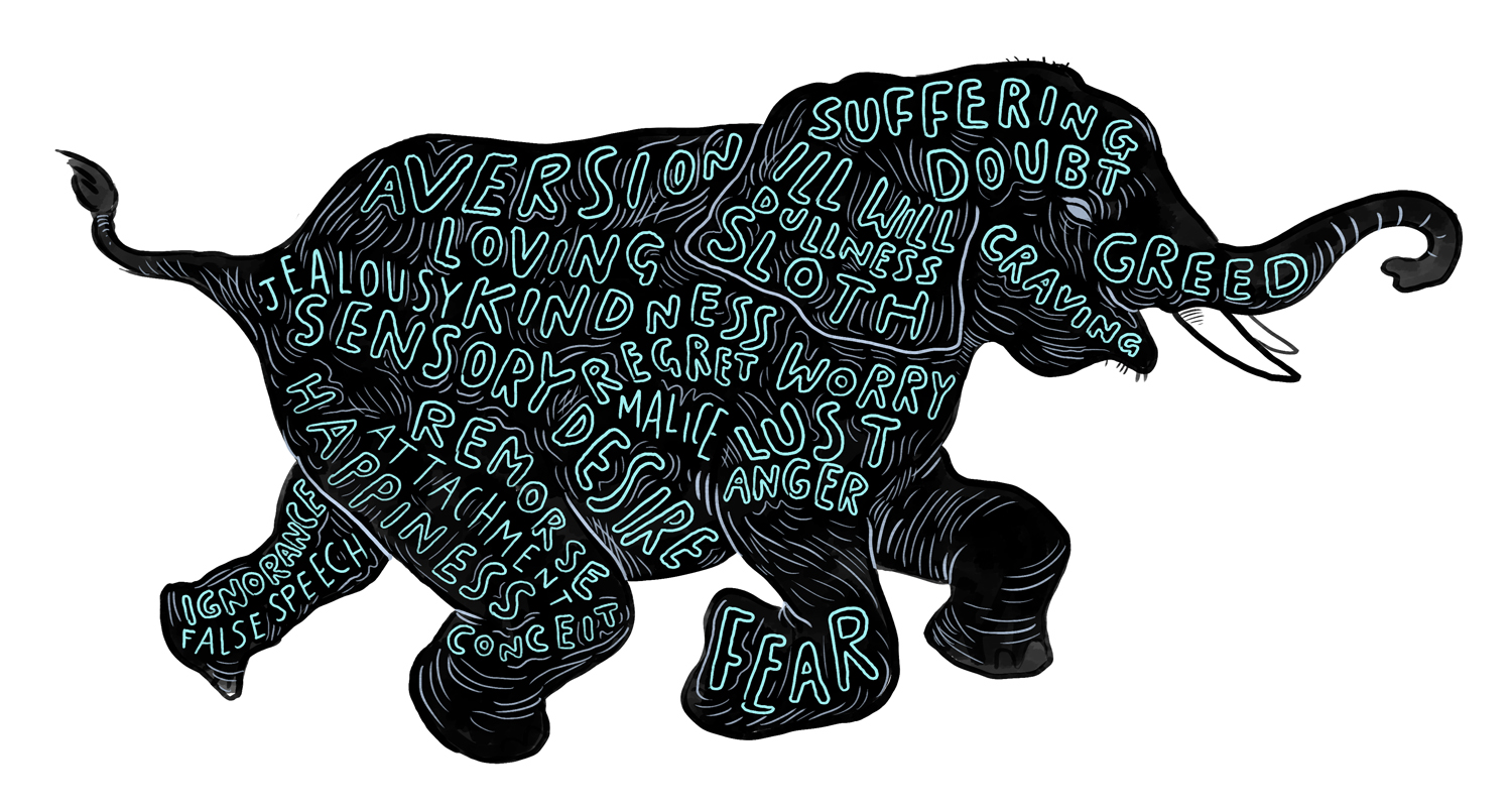 Stages of Samatha Visualisation and Metaphor — Cognitive