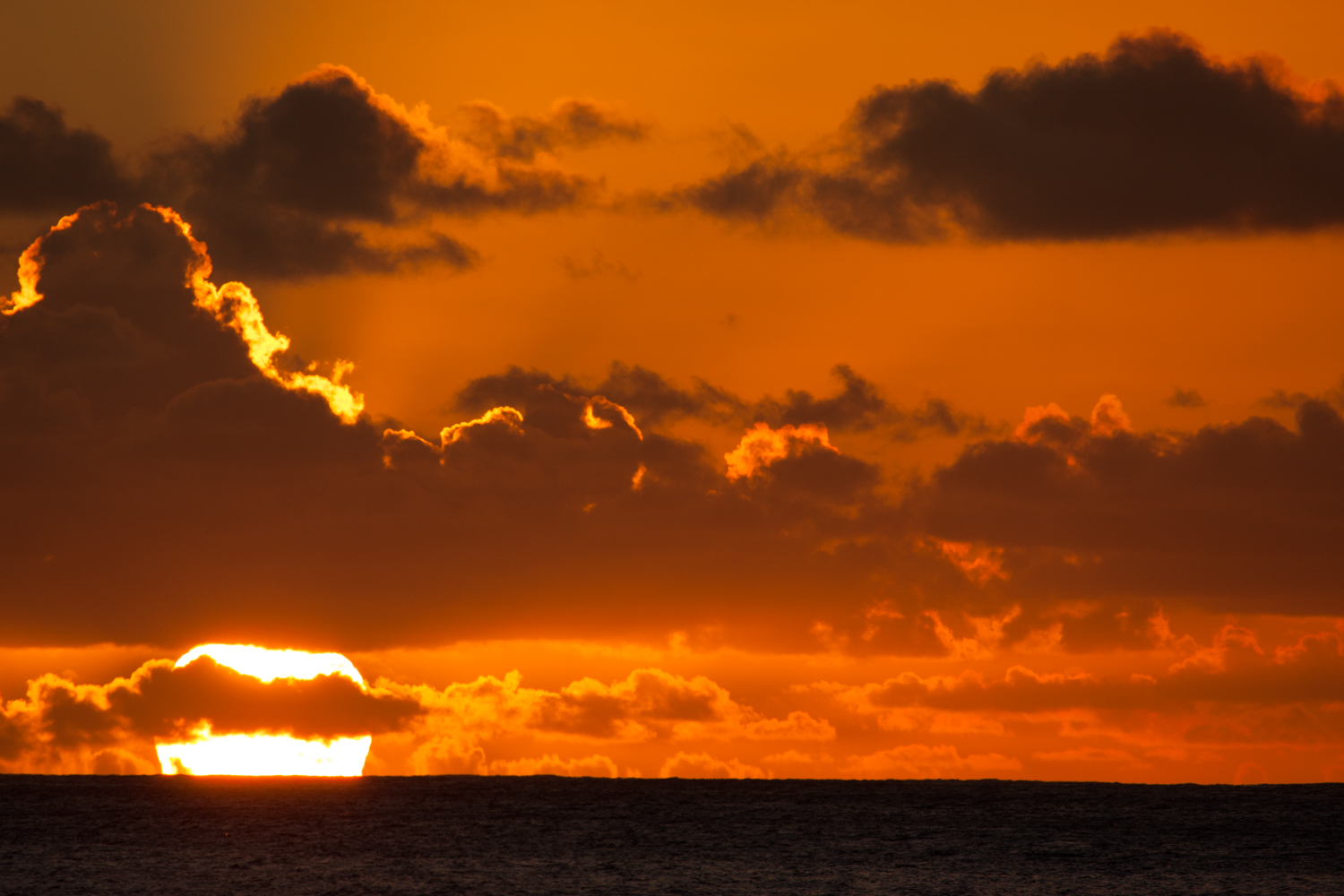 _MG_2765.jpg