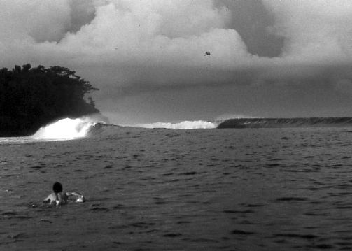 Untitled-3.gif
