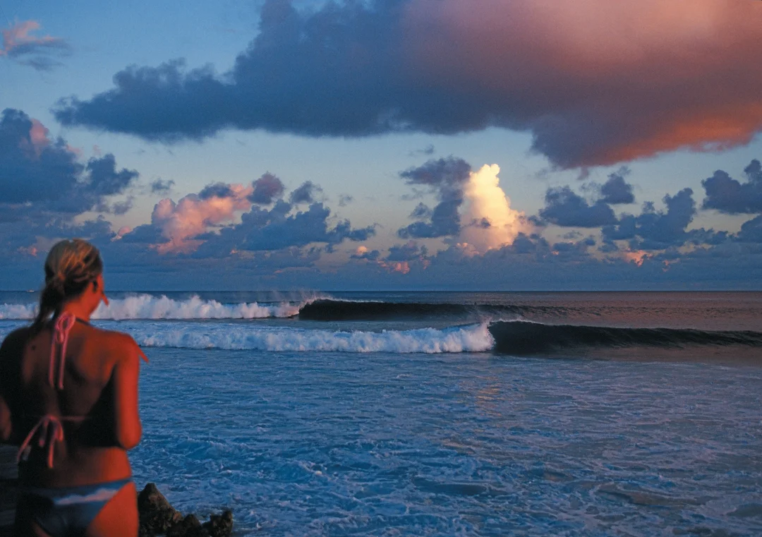 Maldives. Photo: Kew.