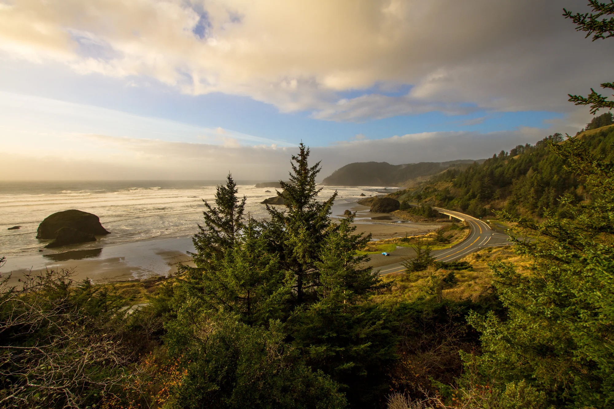 Near Cape Sebastian State Park. Photo: Kew.