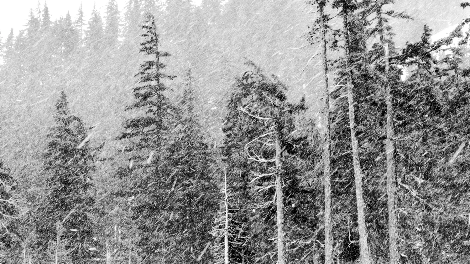 Cascades.