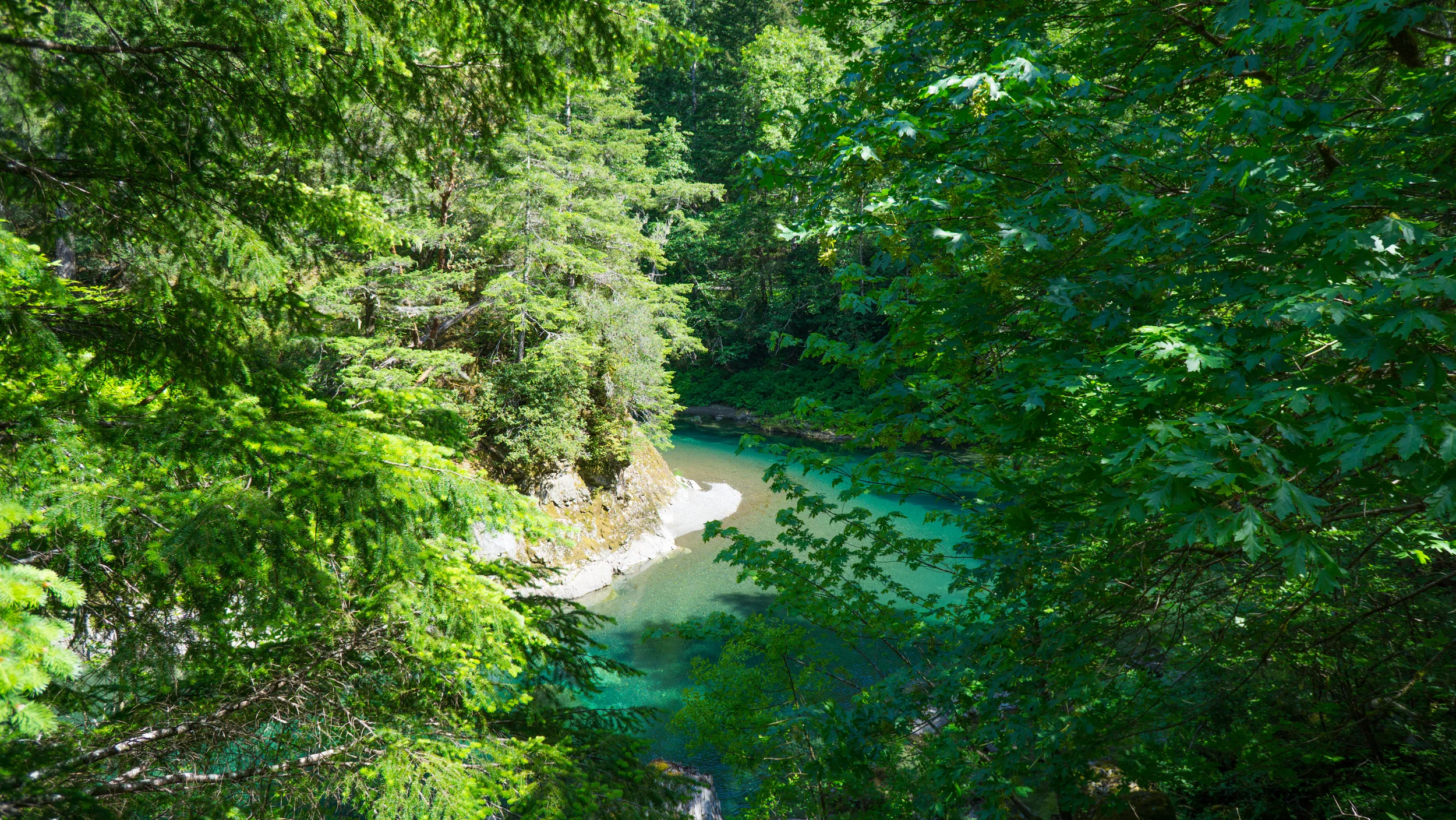 Elk River. Photo: Kew.