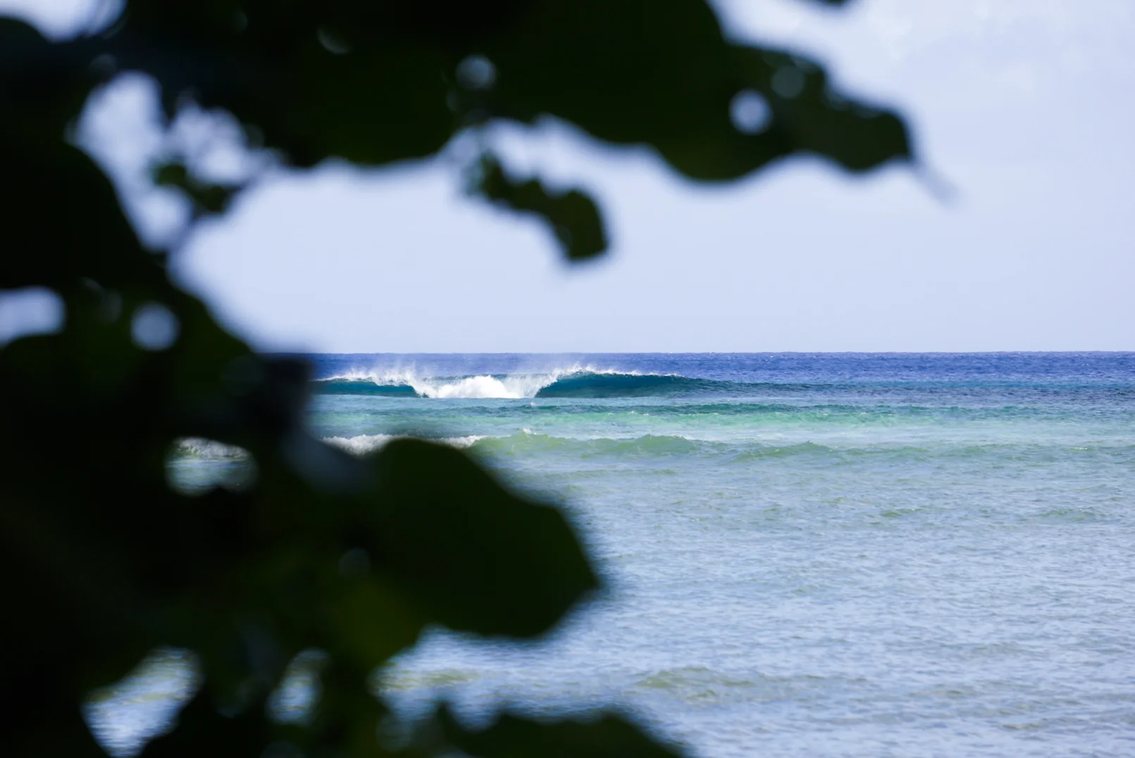 Another day. Fleeting fun on Futuna. Photo: Kew.