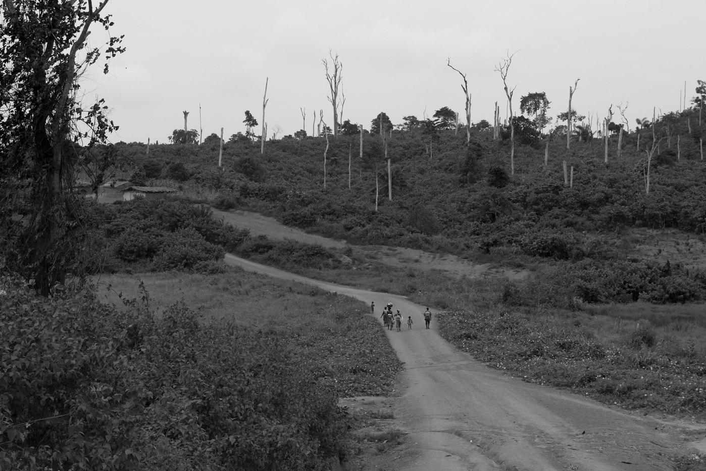 _Côte d’Ivoire_Kew_1447.CR2 copy-2.jpg