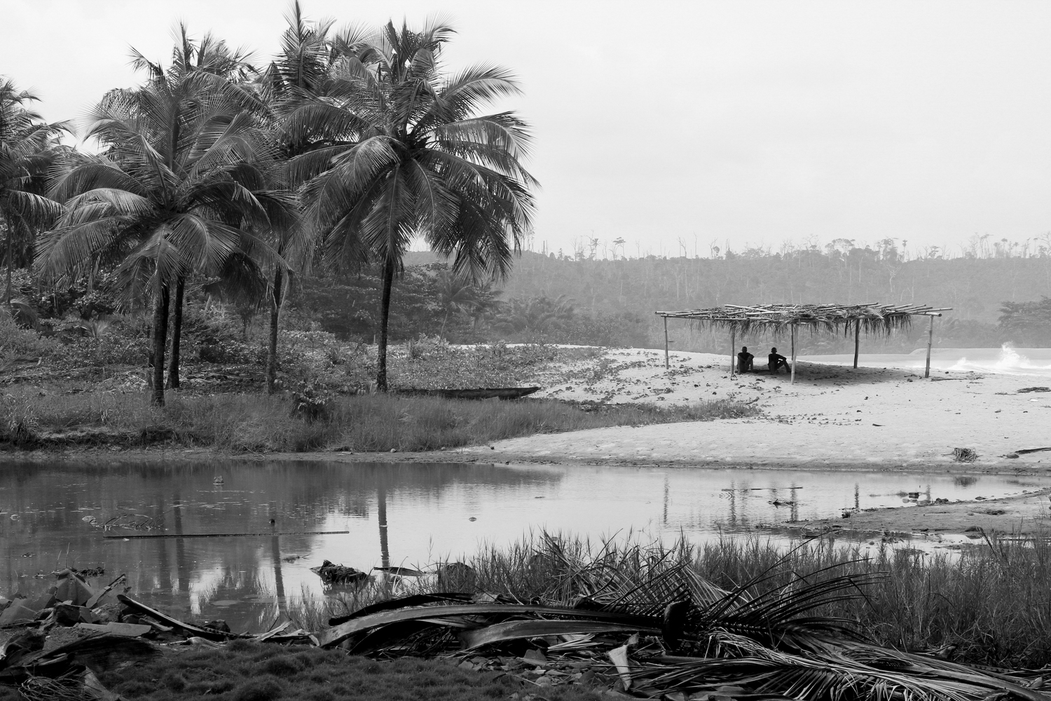 _Côte d’Ivoire_Kew_2634.CR2 copy-2.jpg