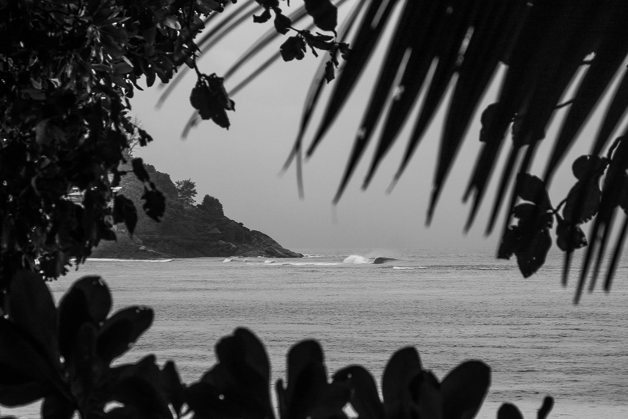 _MG_6503.jpg