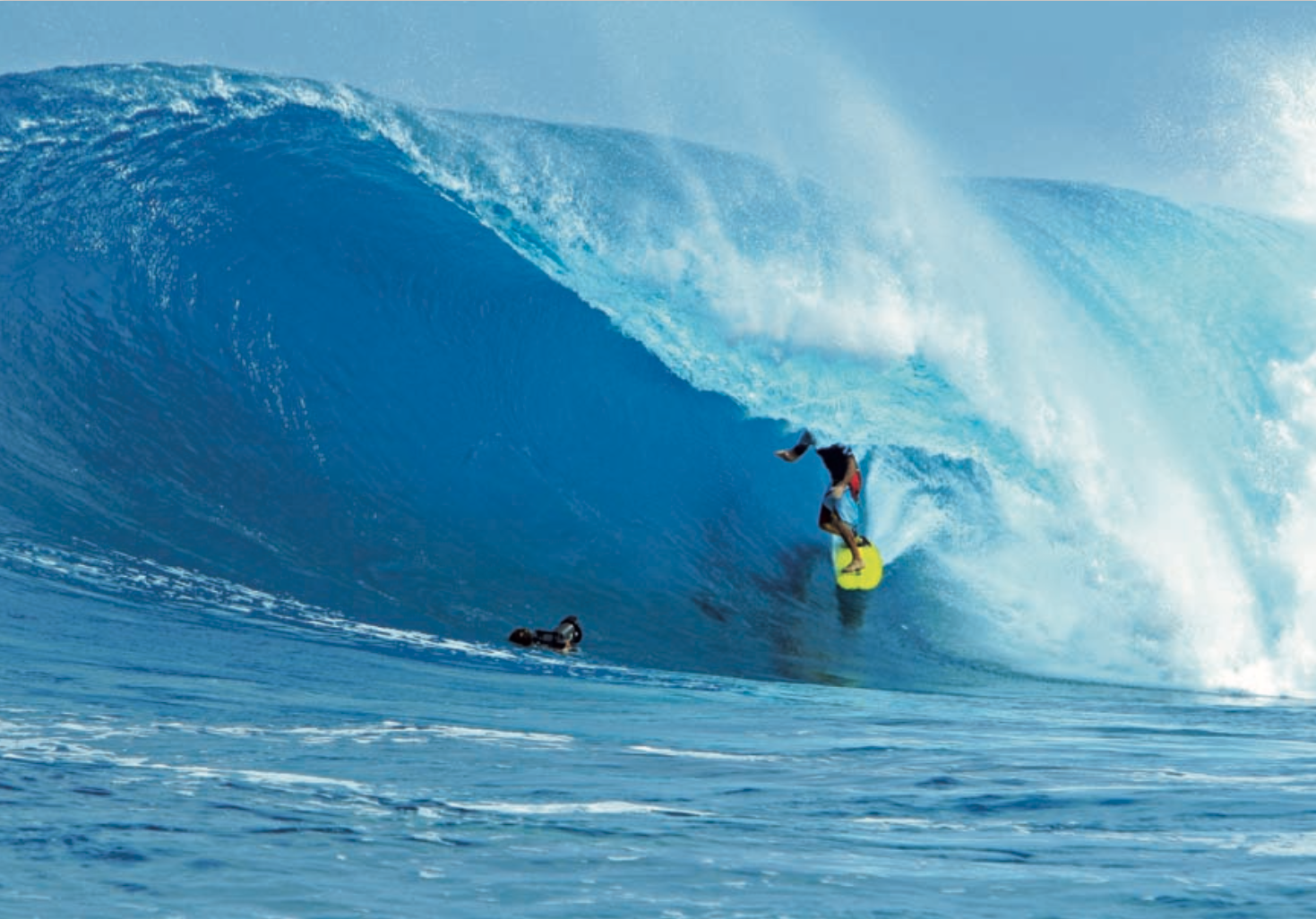 Pohnpei | Part 4 | The Seeds
