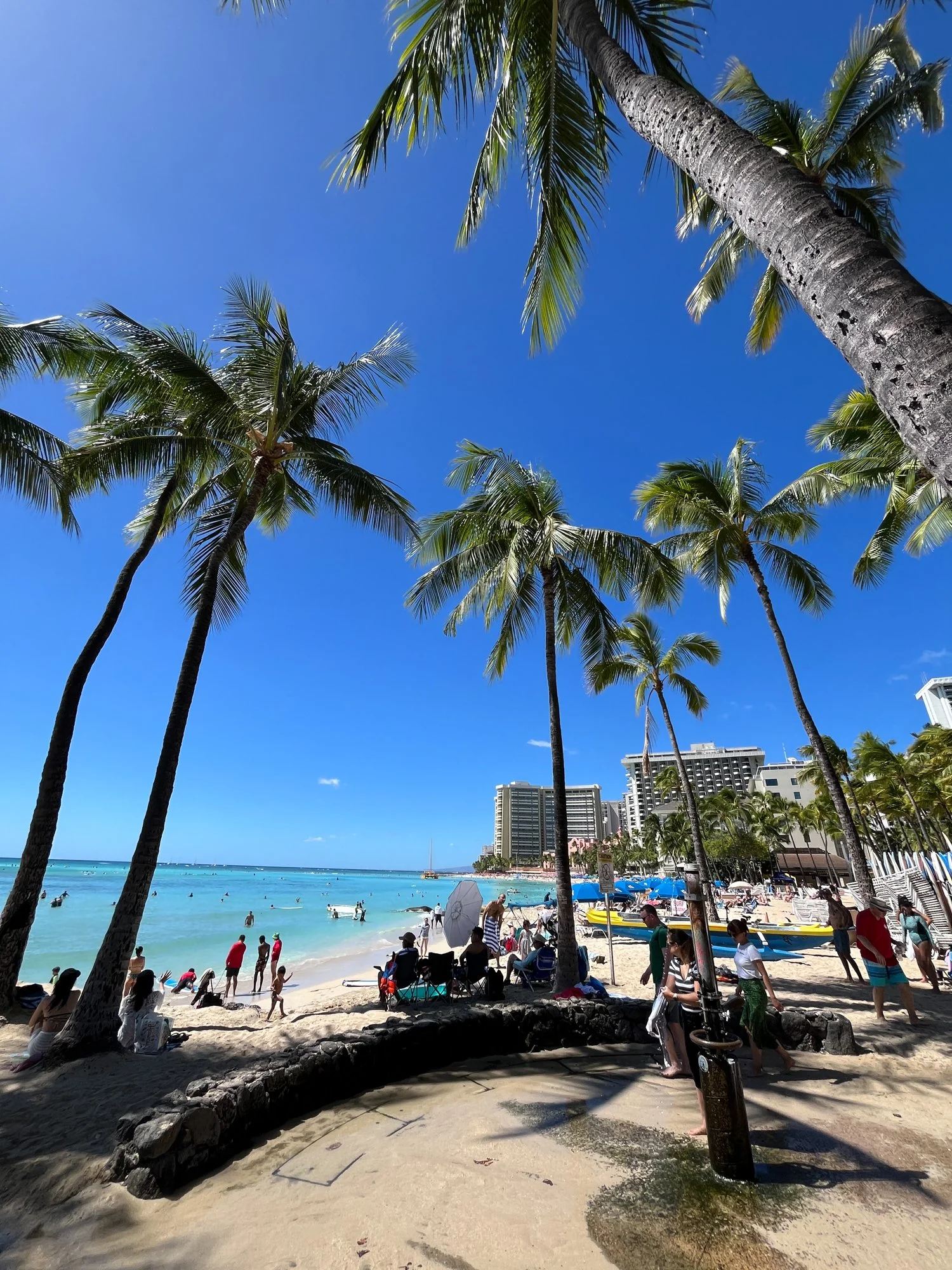 Honolulu_Kew-8768.jpg