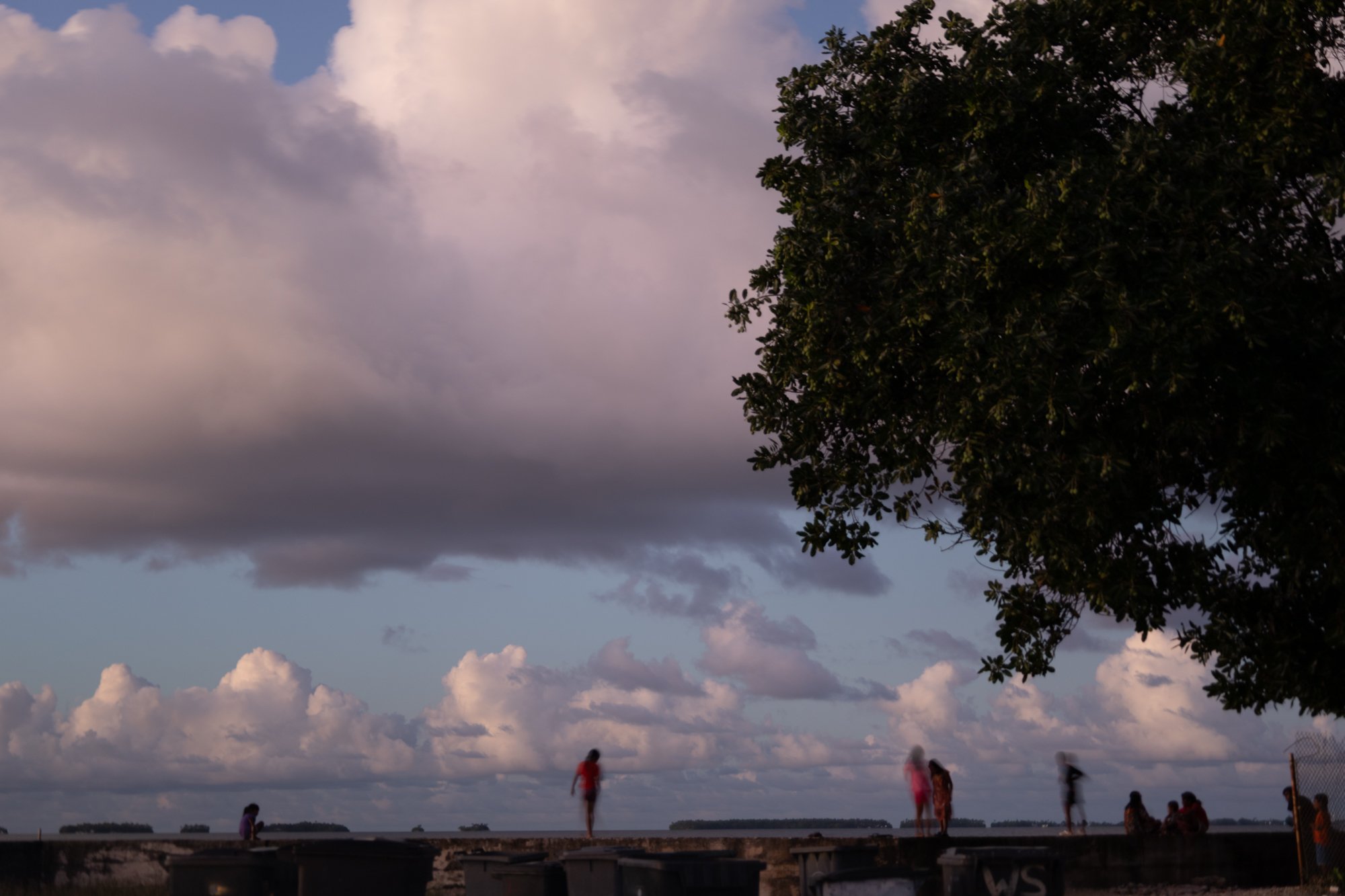 Majujro_Kew-0435.jpg