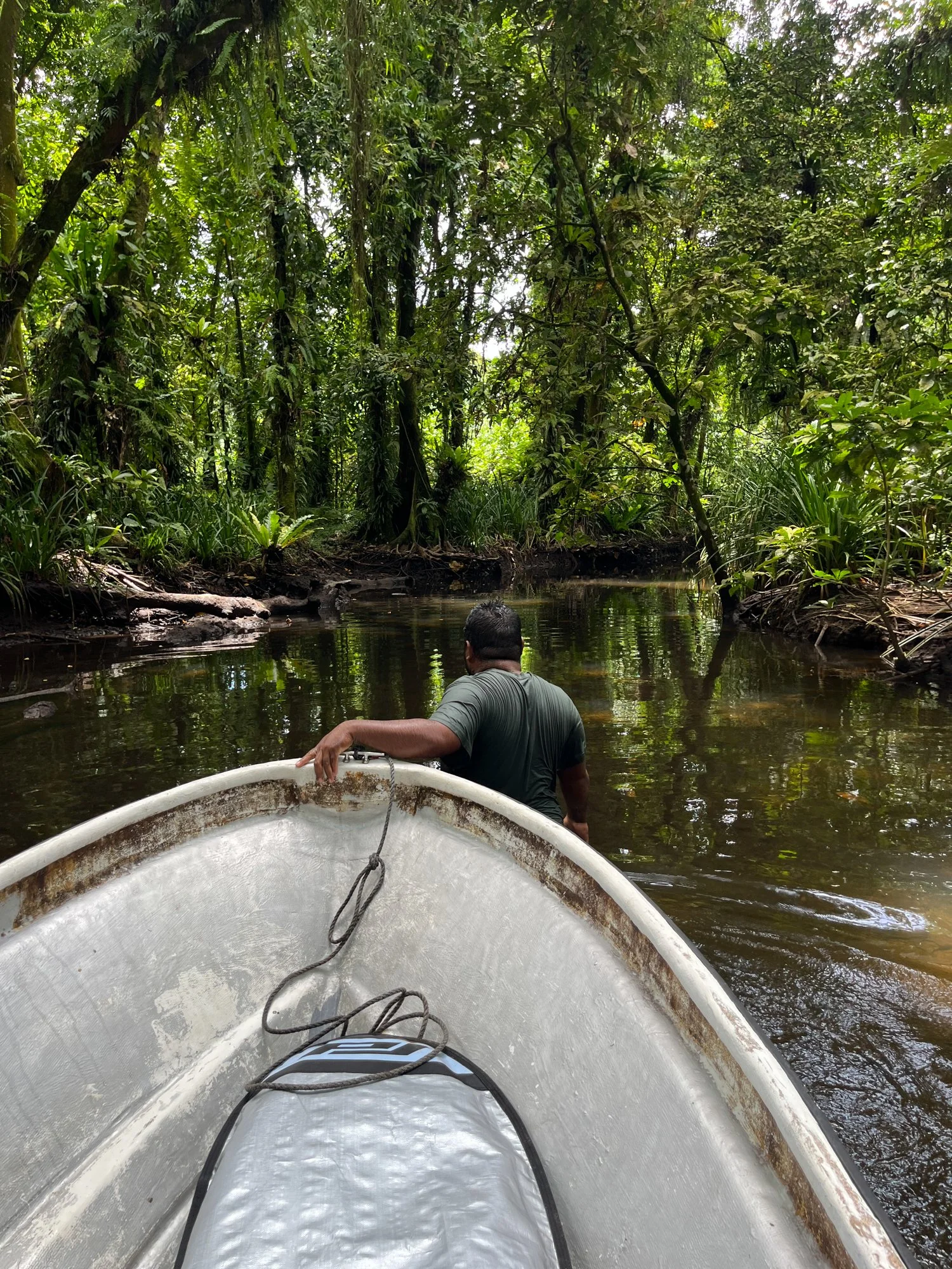 Kosrae_Kew-8487.jpg