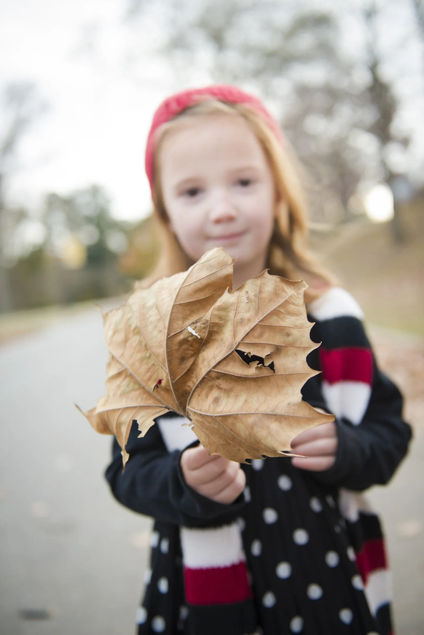 OMDphotography_November2013_-53.jpg