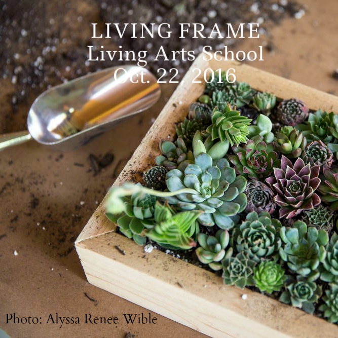 living frame alyssa credit.jpg