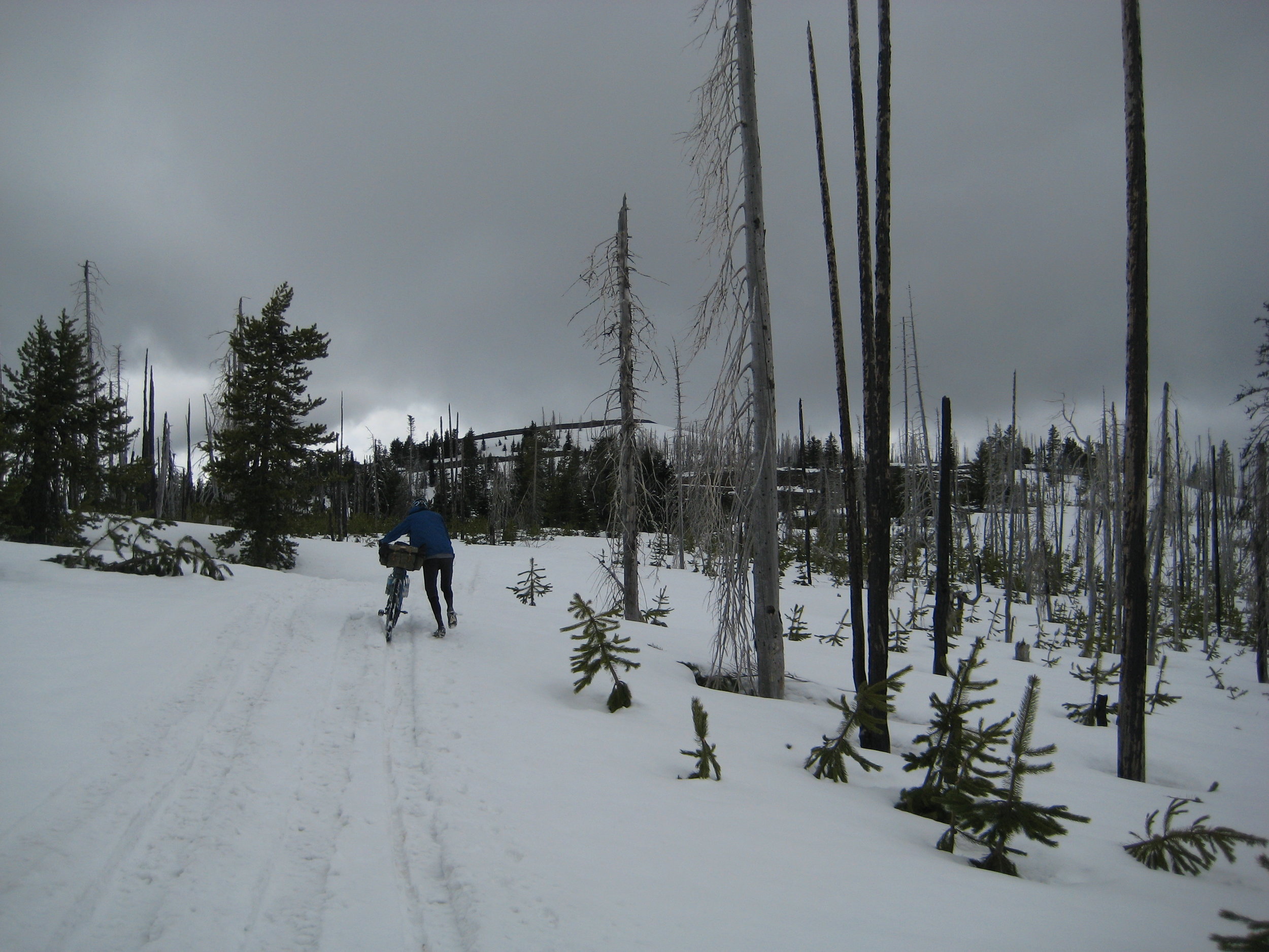 Quad tracks lead us up and over.